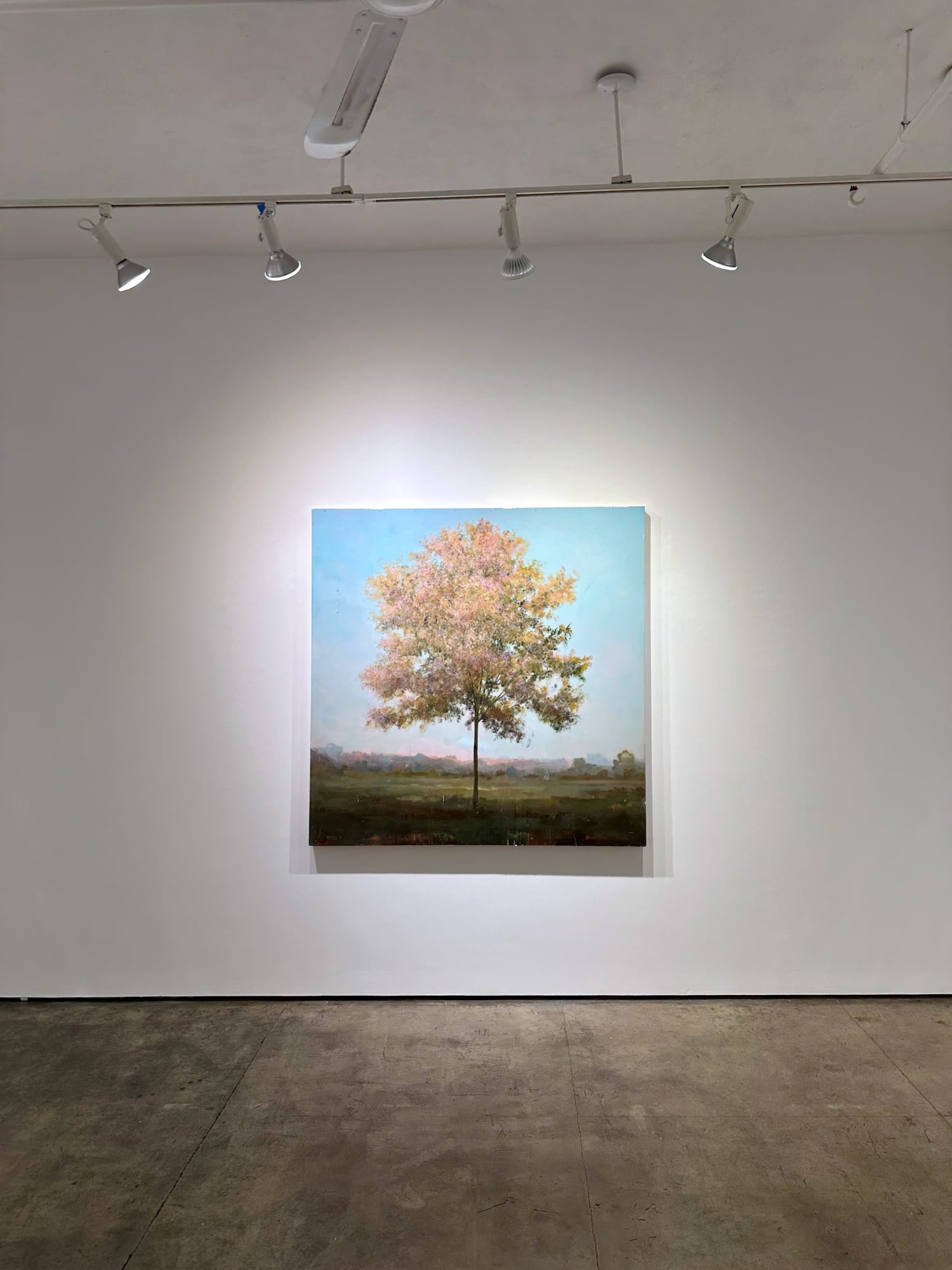 Photo of an installation with one painting visible. It is of a tree, framed symmetrically in the center of the canvas.