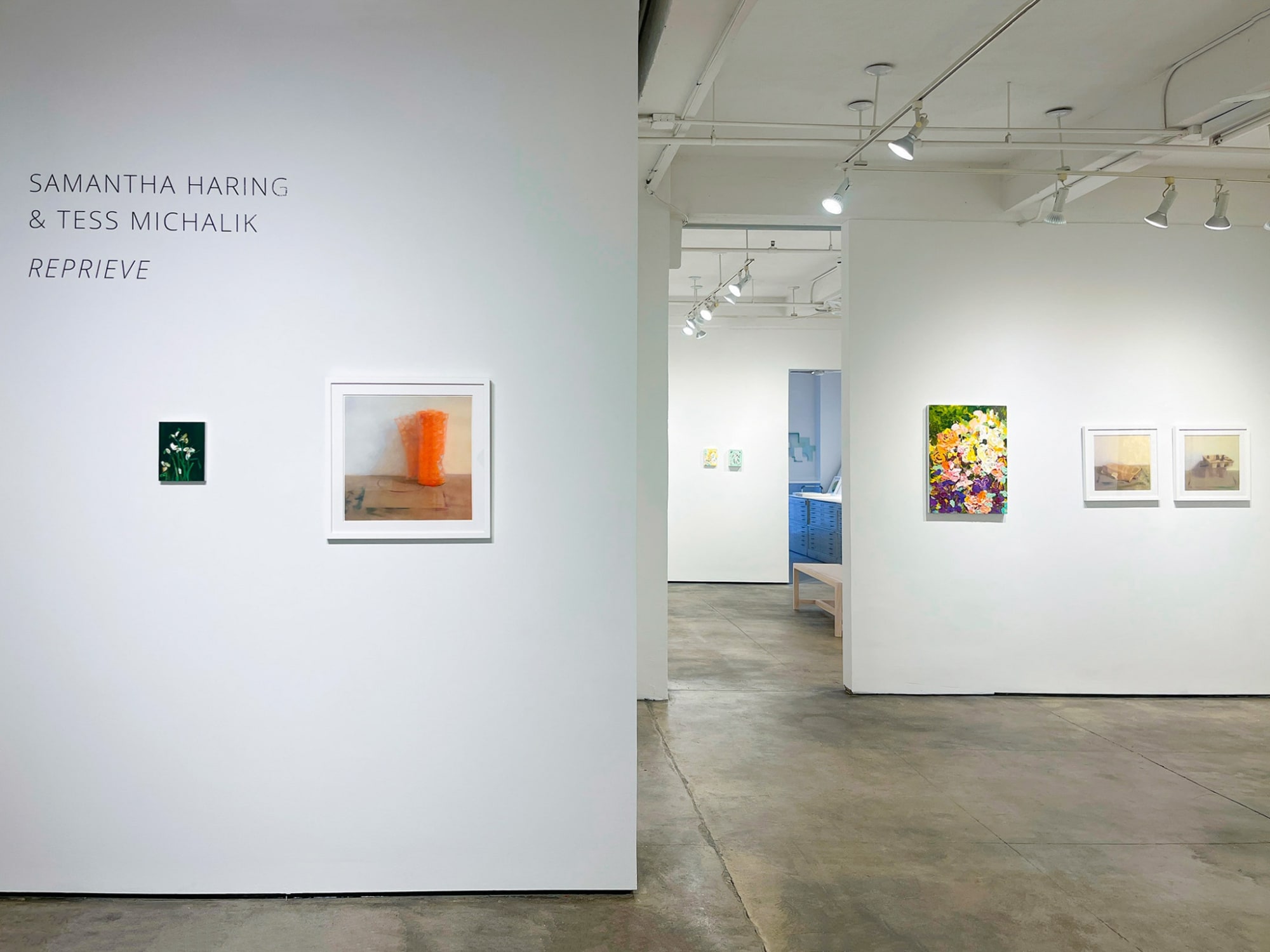 Samantha Haring & Tess Michalik: Reprieve