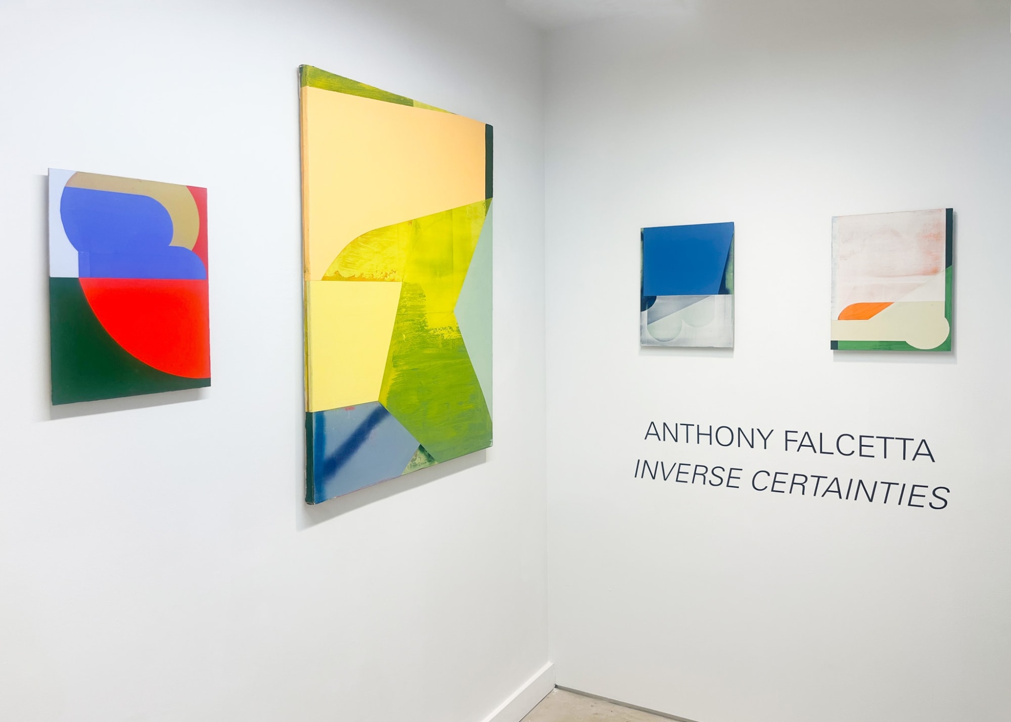 Anthony Falcetta: Inverse Certainties
