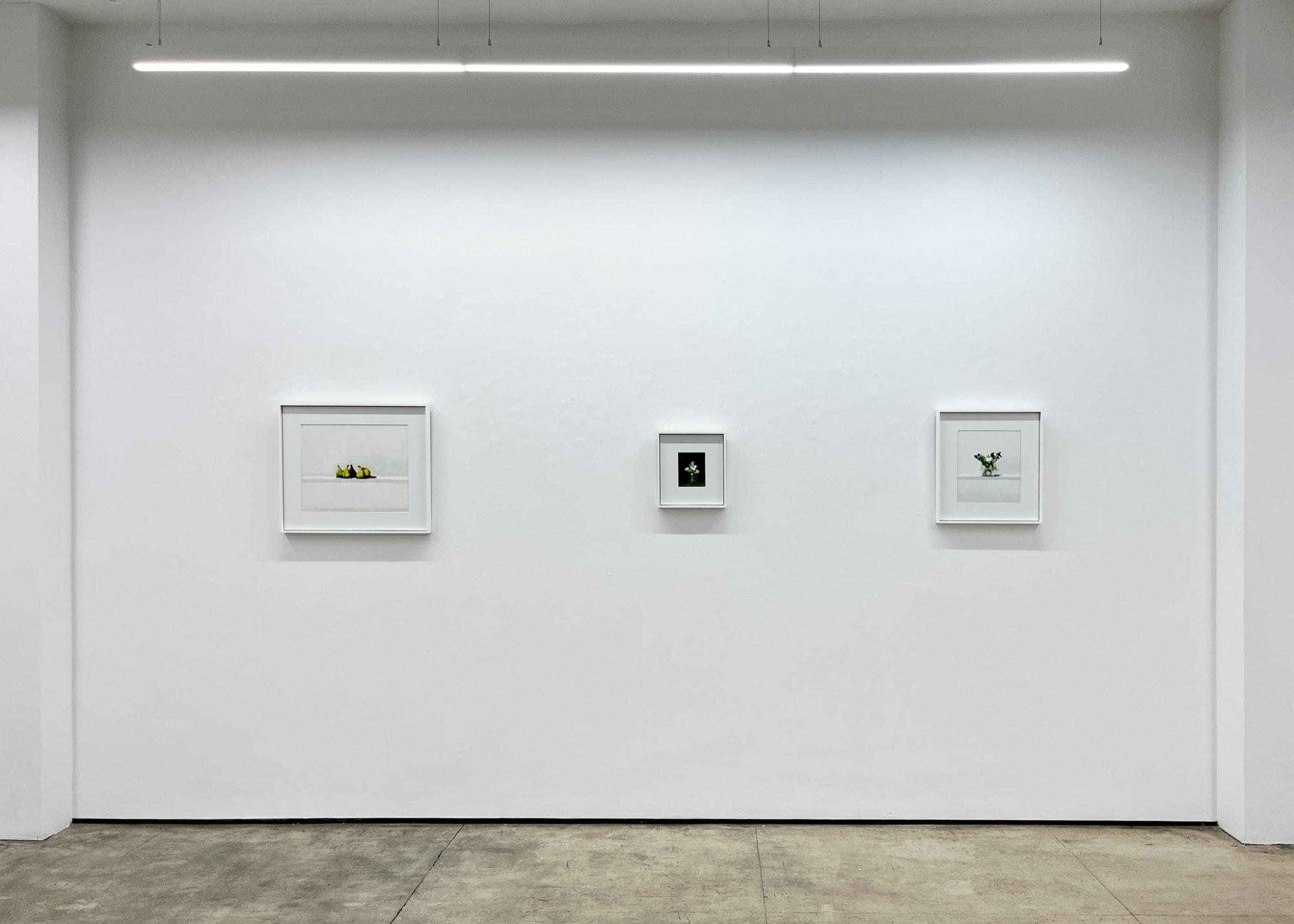 Stanley Bielen: A Modest Arrangement