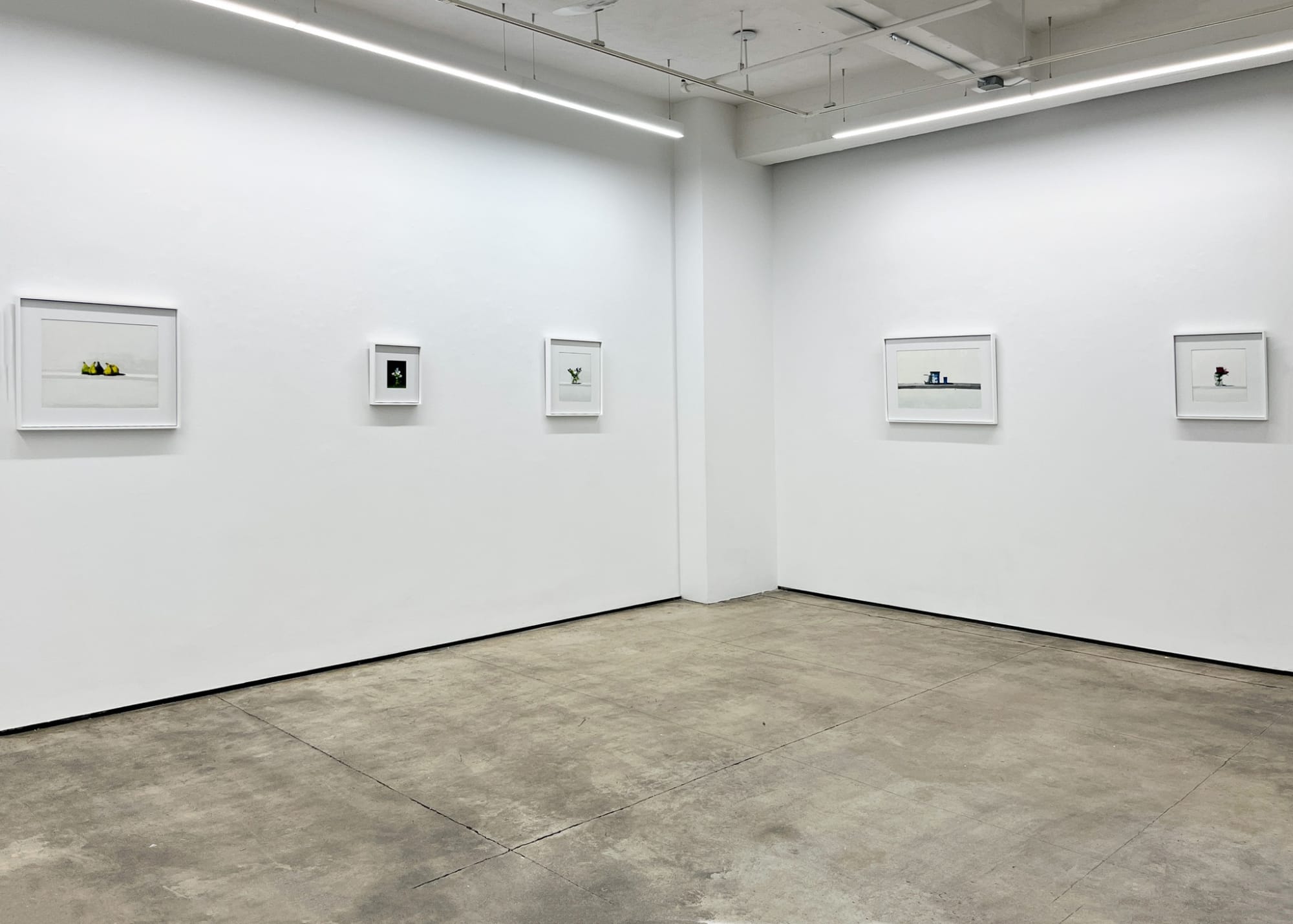 Stanley Bielen: A Modest Arrangement