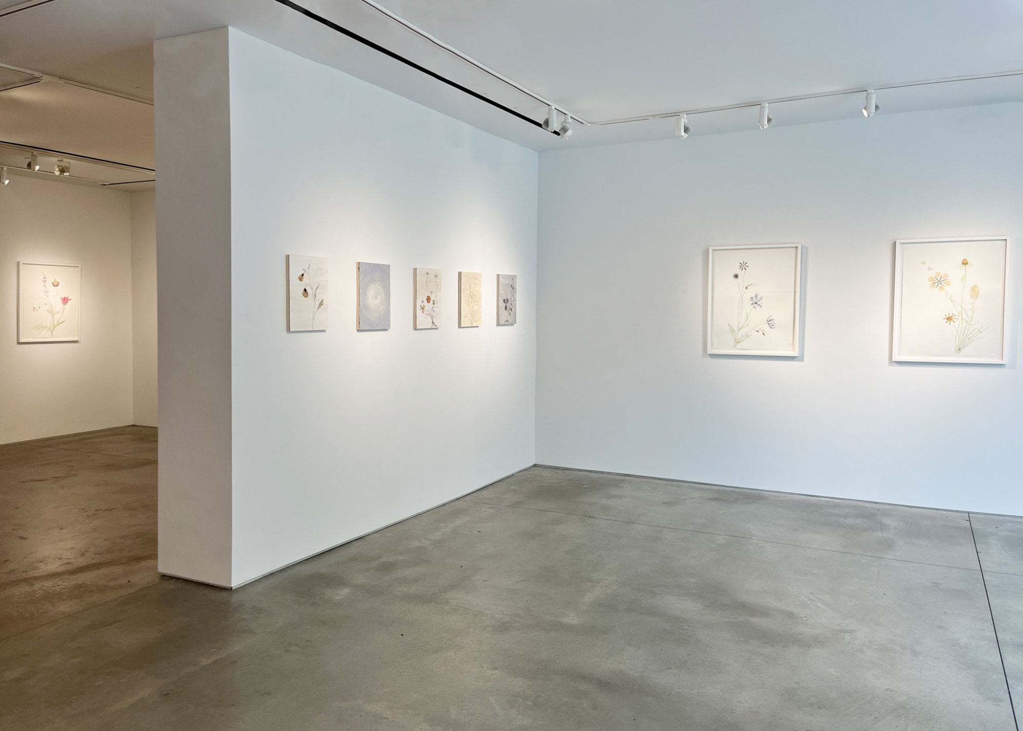 Marilla Palmer: Ecstatic Earth