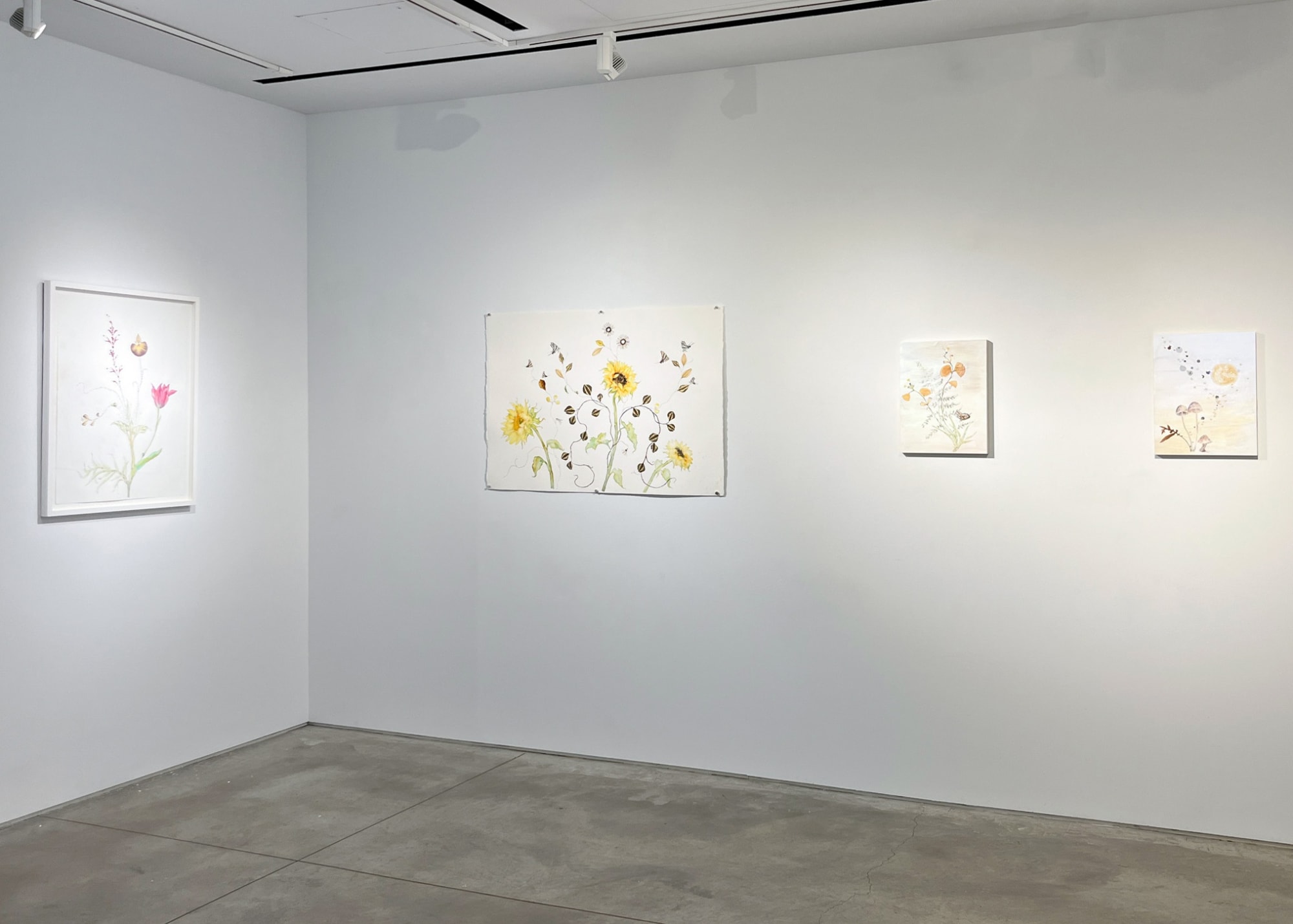 Marilla Palmer: Ecstatic Earth