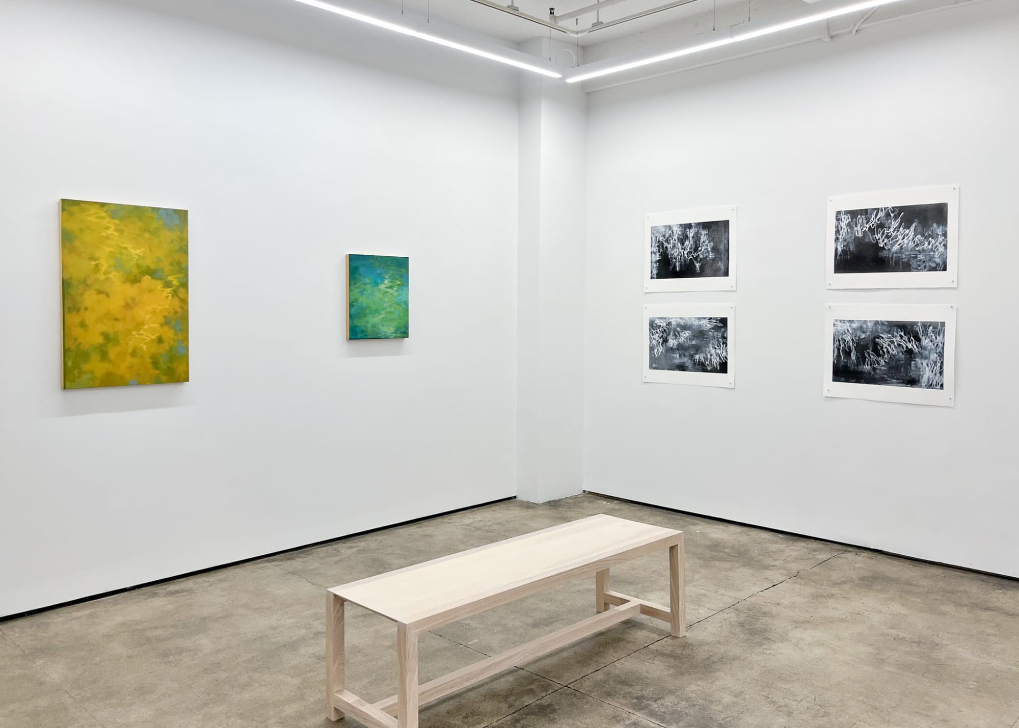 Tamar Zinn: Standing in the stream