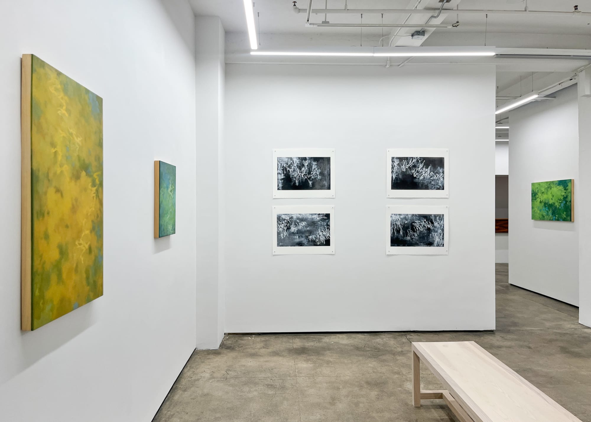 Tamar Zinn: Standing in the stream