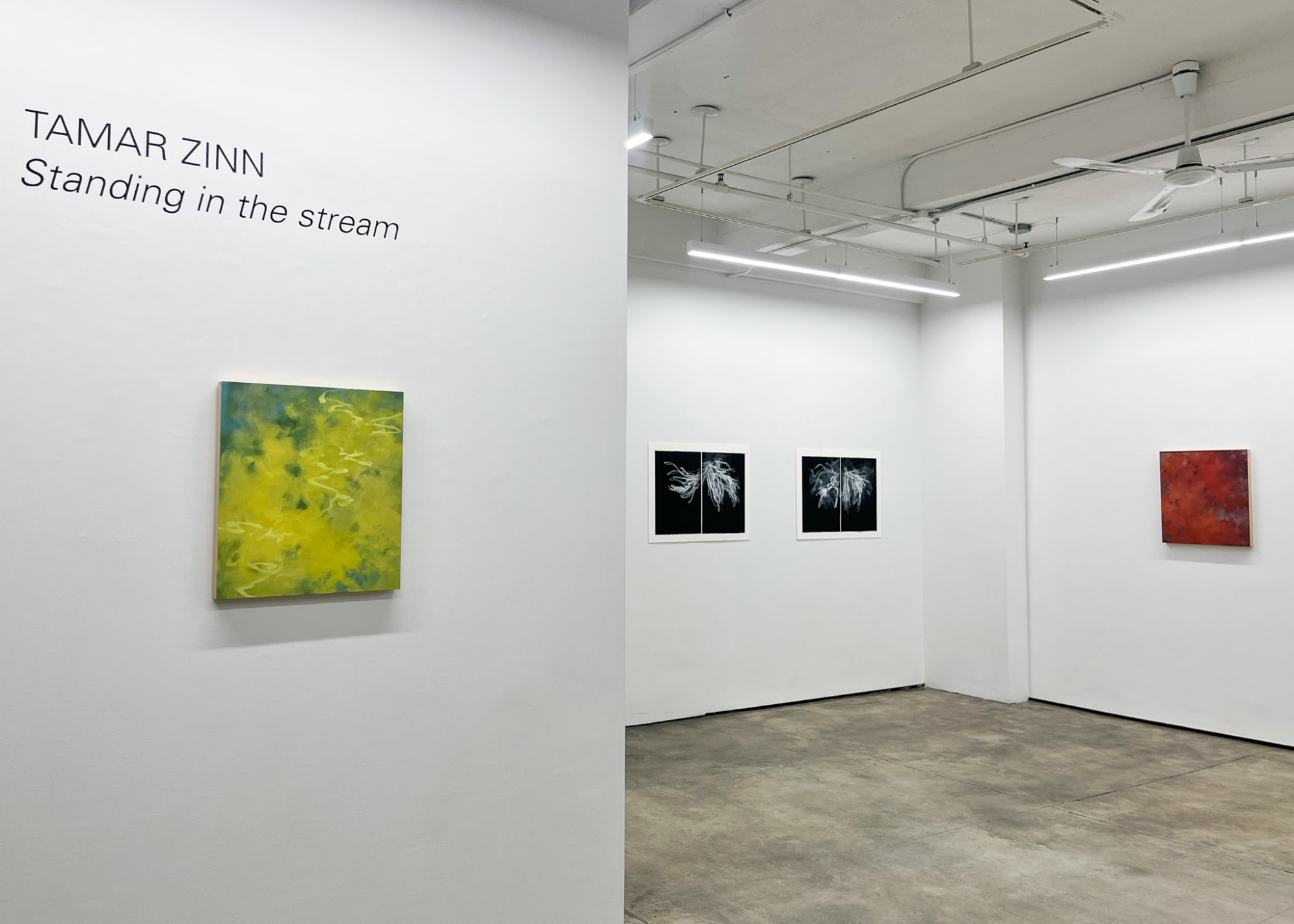 Tamar Zinn: Standing in the stream