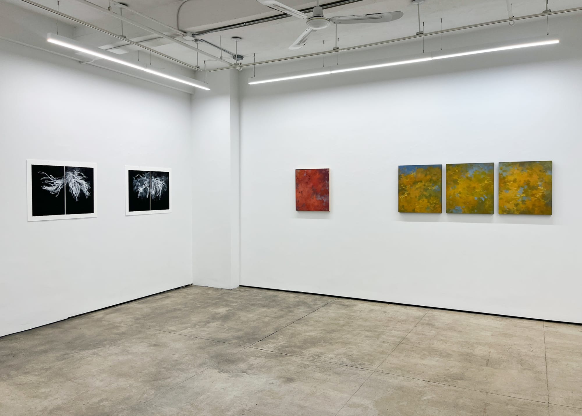 Tamar Zinn: Standing in the stream