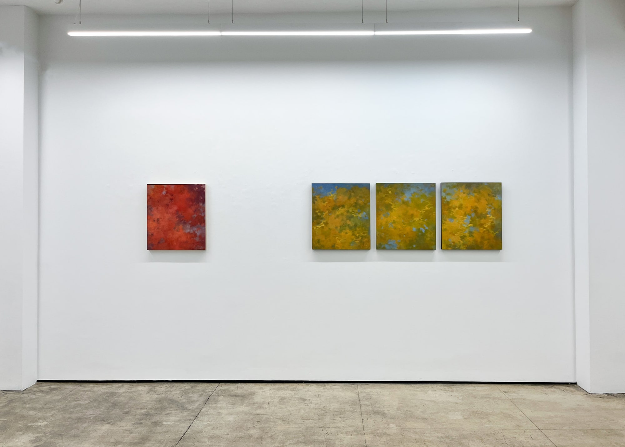 Tamar Zinn: Standing in the stream