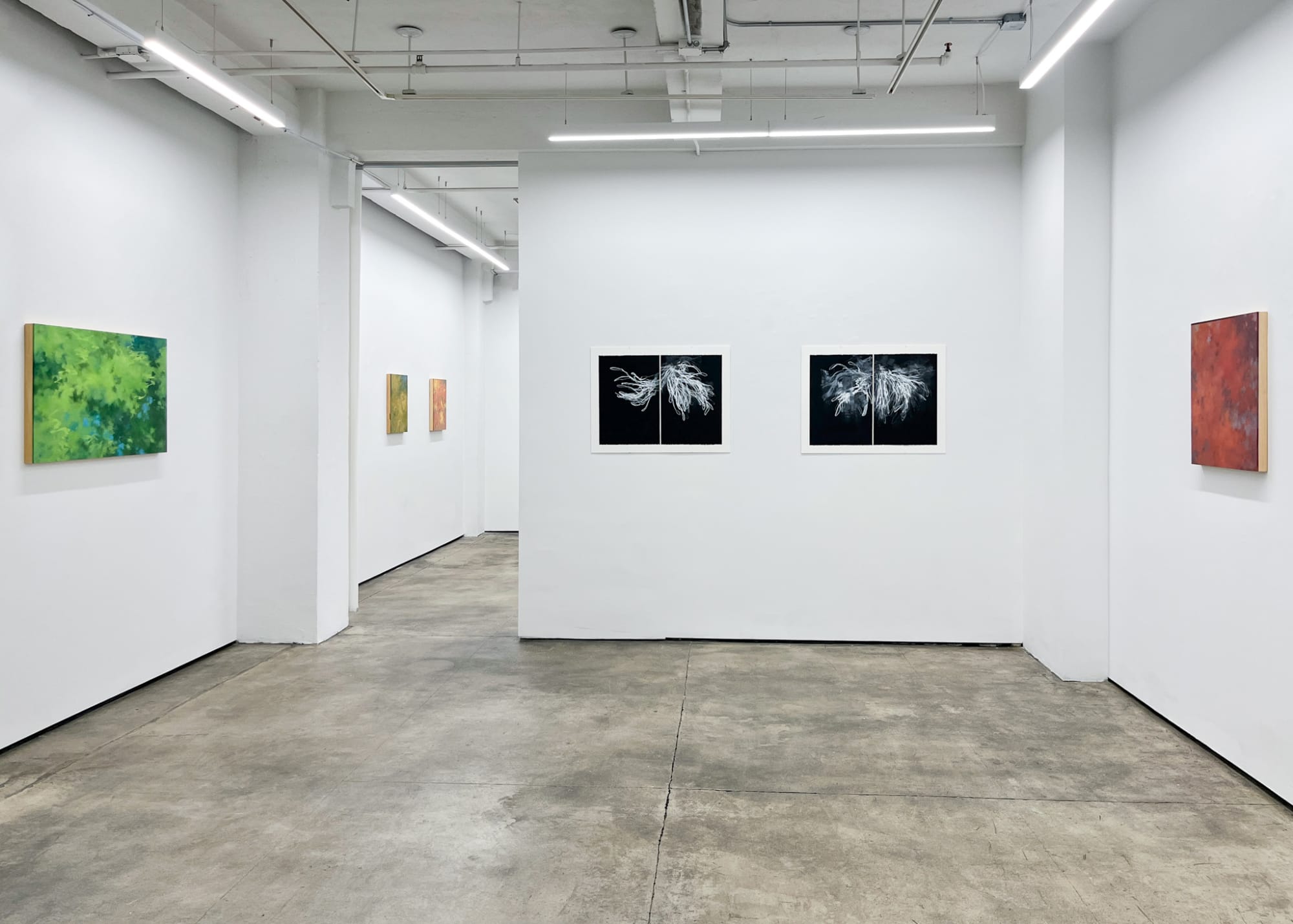 Tamar Zinn: Standing in the stream