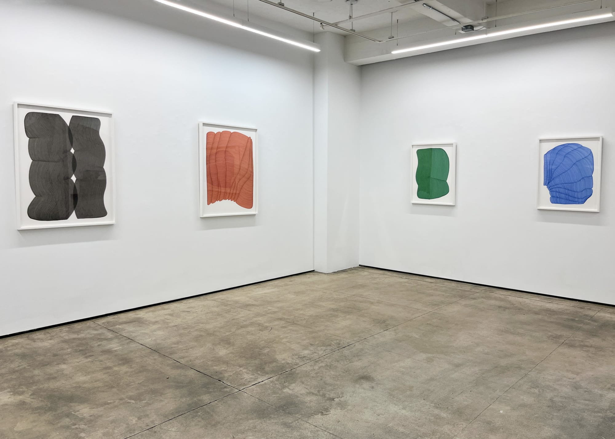 Dana Piazza: Fall Lines