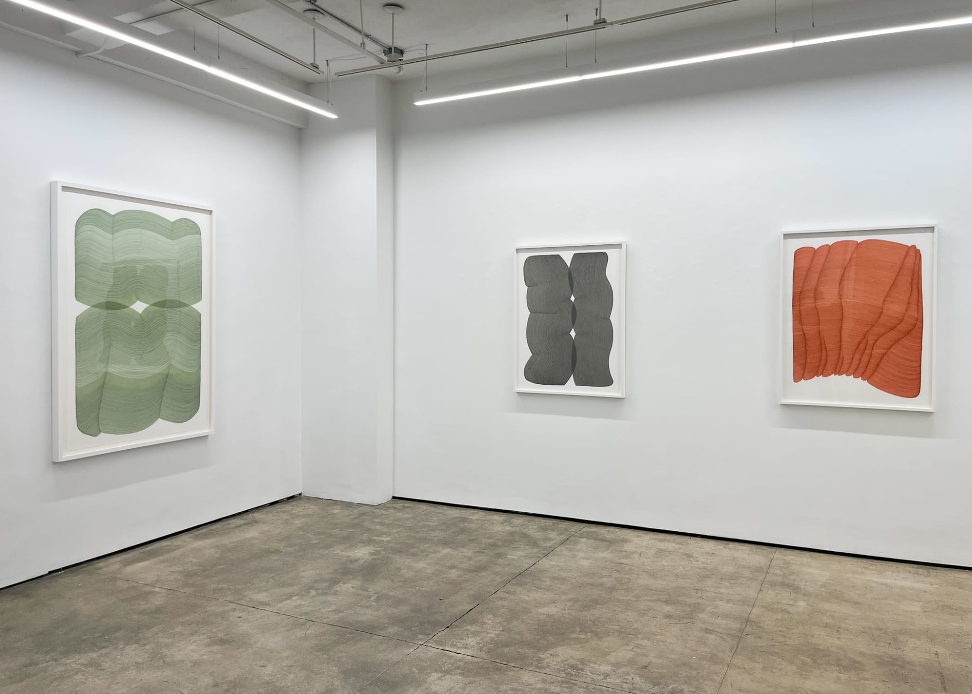 Dana Piazza: Fall Lines