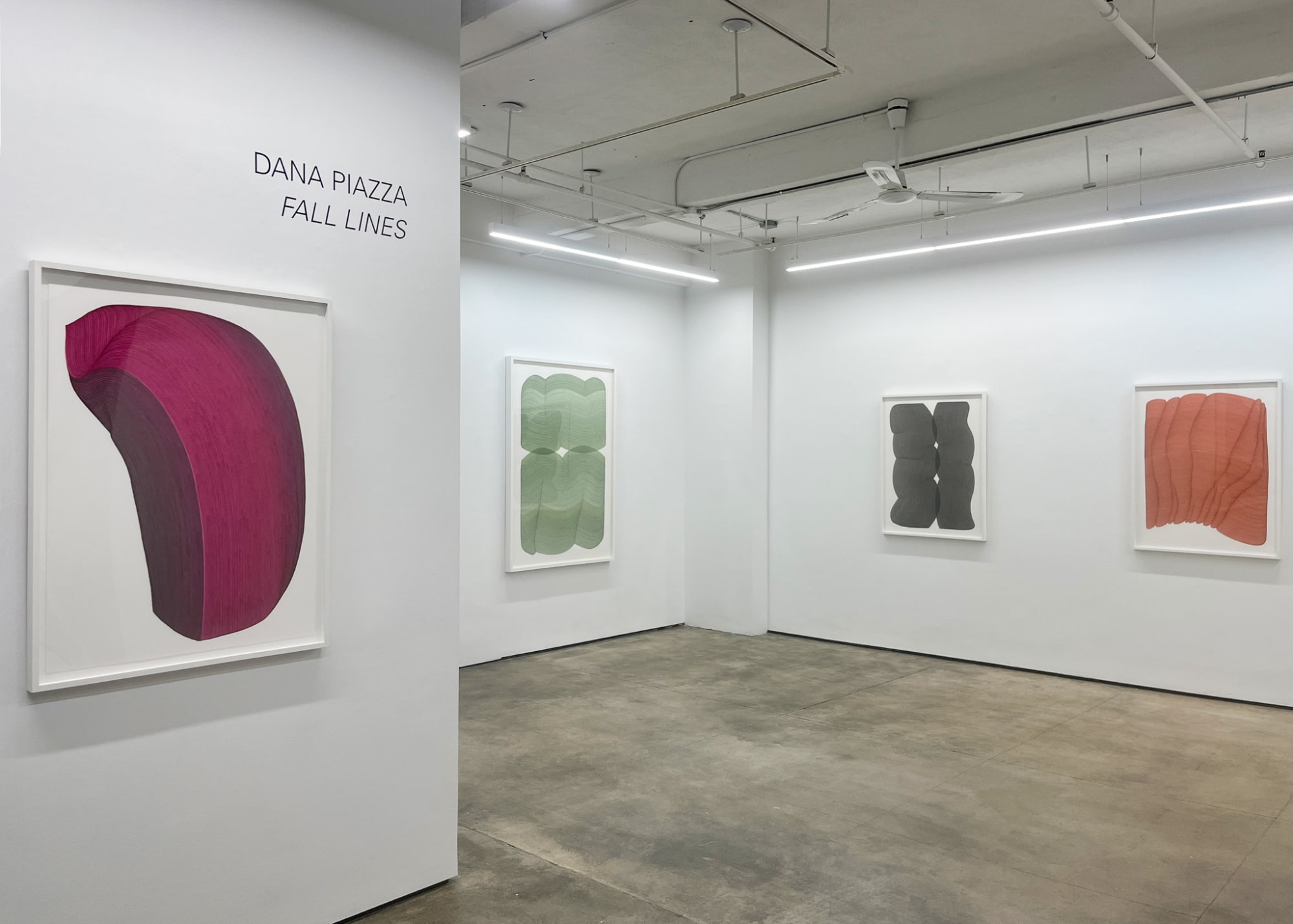 Dana Piazza: Fall Lines