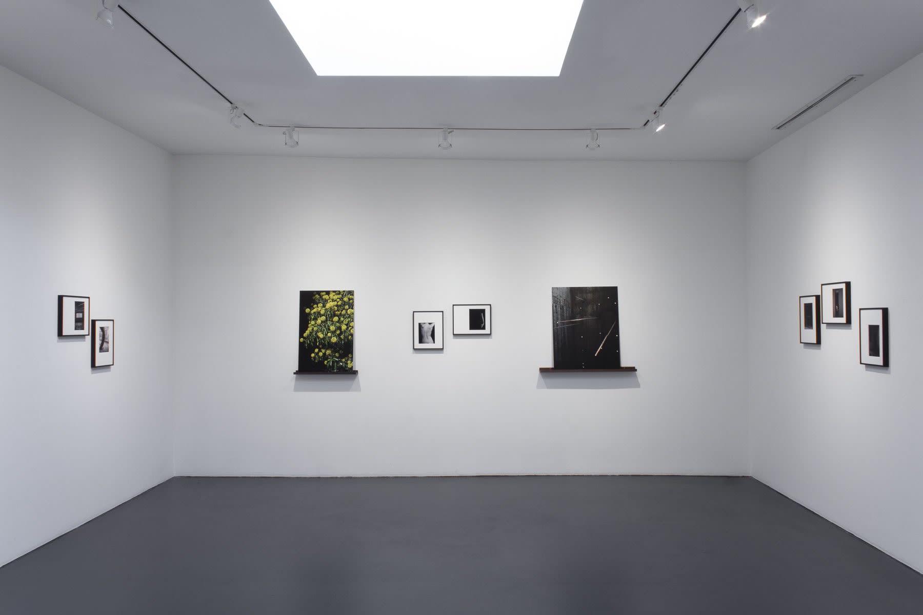 Judith Stenneken & Nikolai Ishchuk