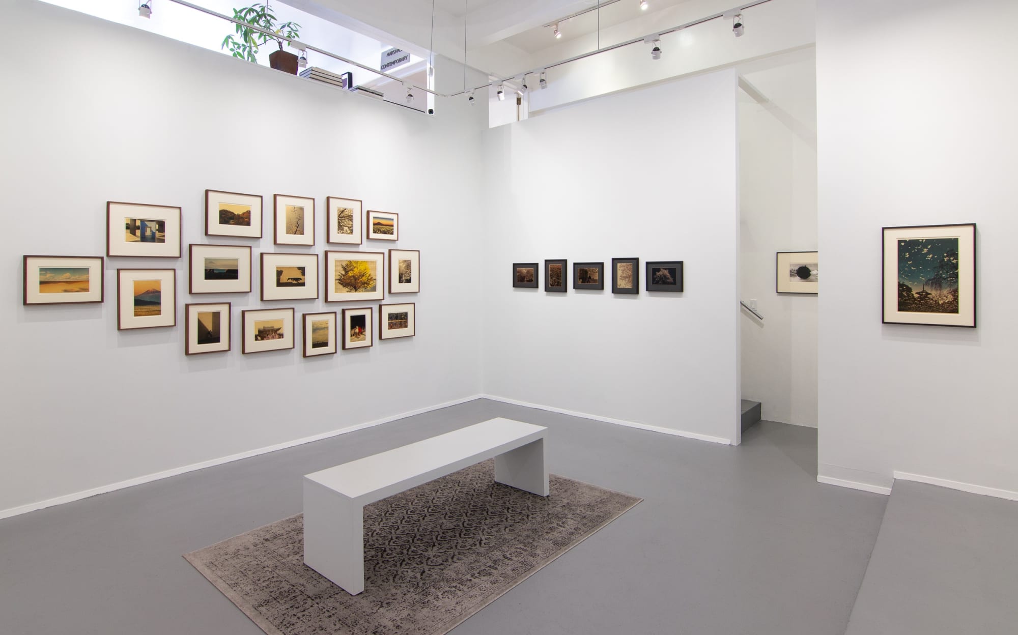 the radiance of paradise