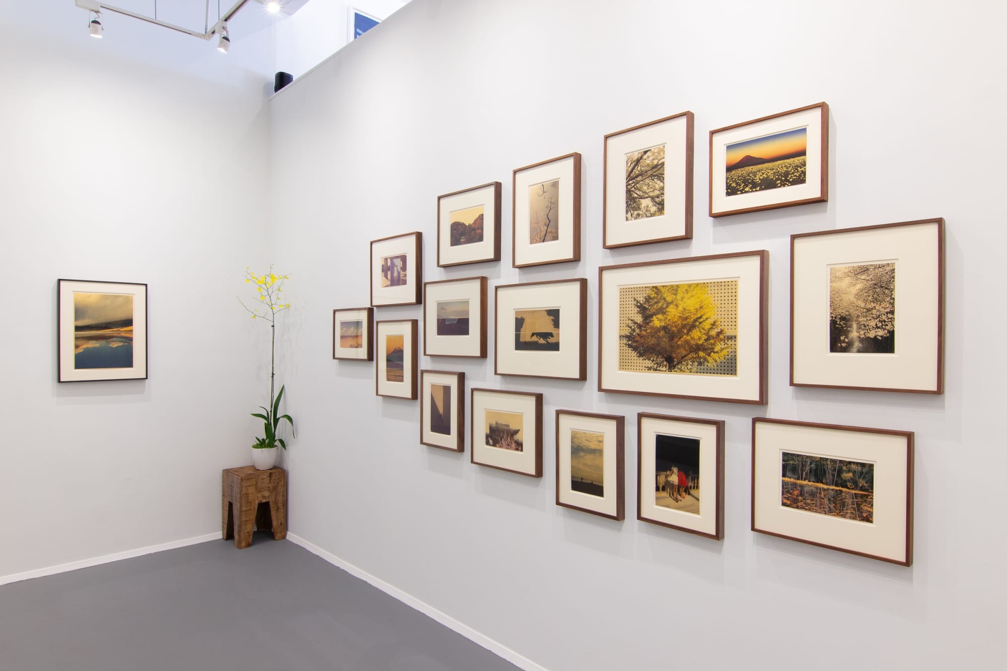 the radiance of paradise