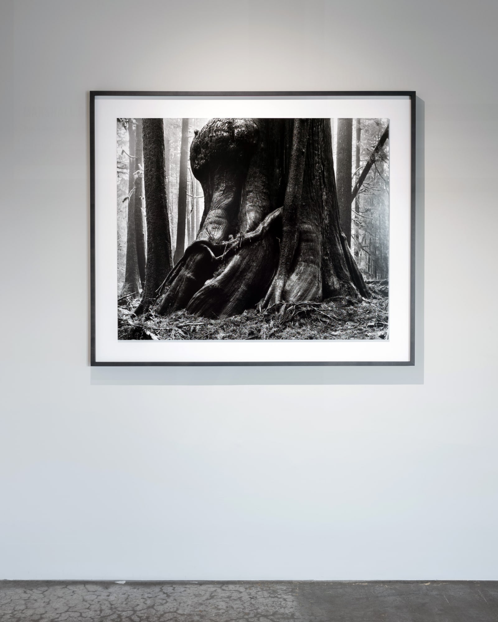 Jakob de Boer | Pre-Myth