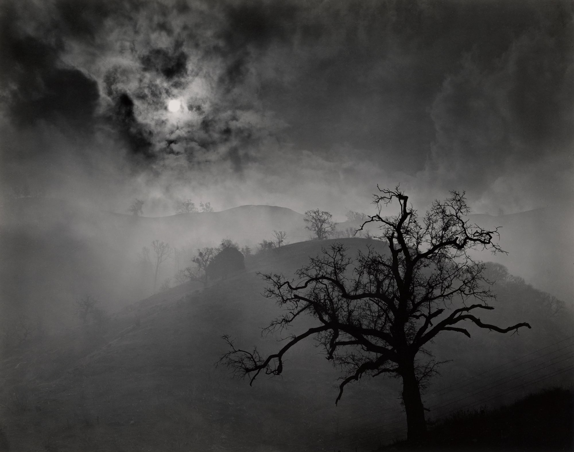 Wynn Bullock