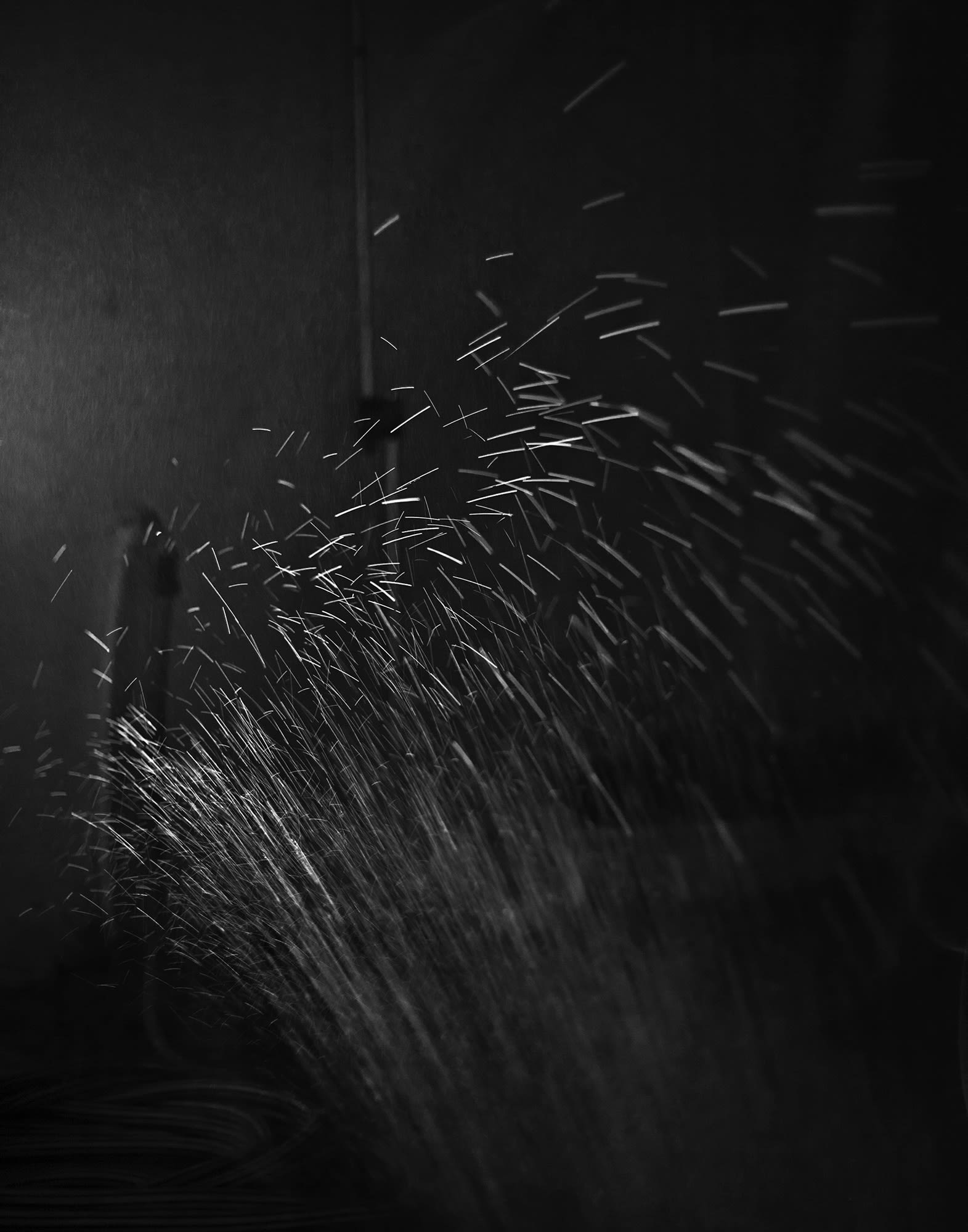 Judith Stenneken, Untitled #24, 2014