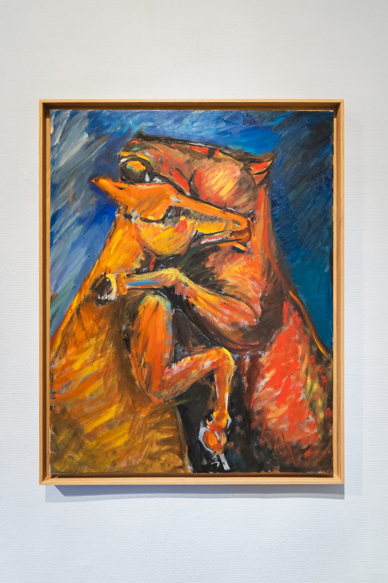 © Photo Sophie Labruyère