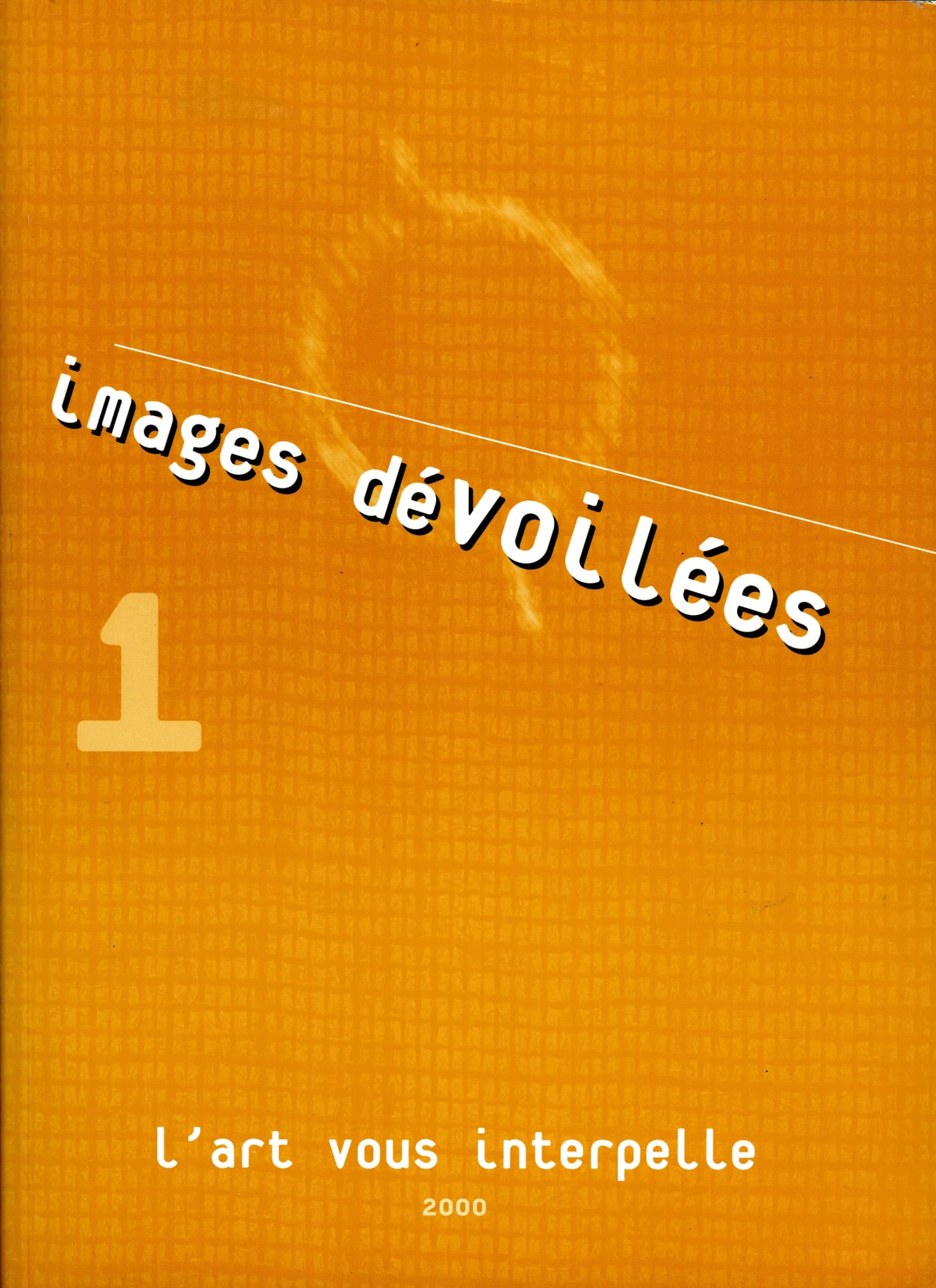 Salon d'Angers - Images dévoilées 1 - l'art vous interpelle