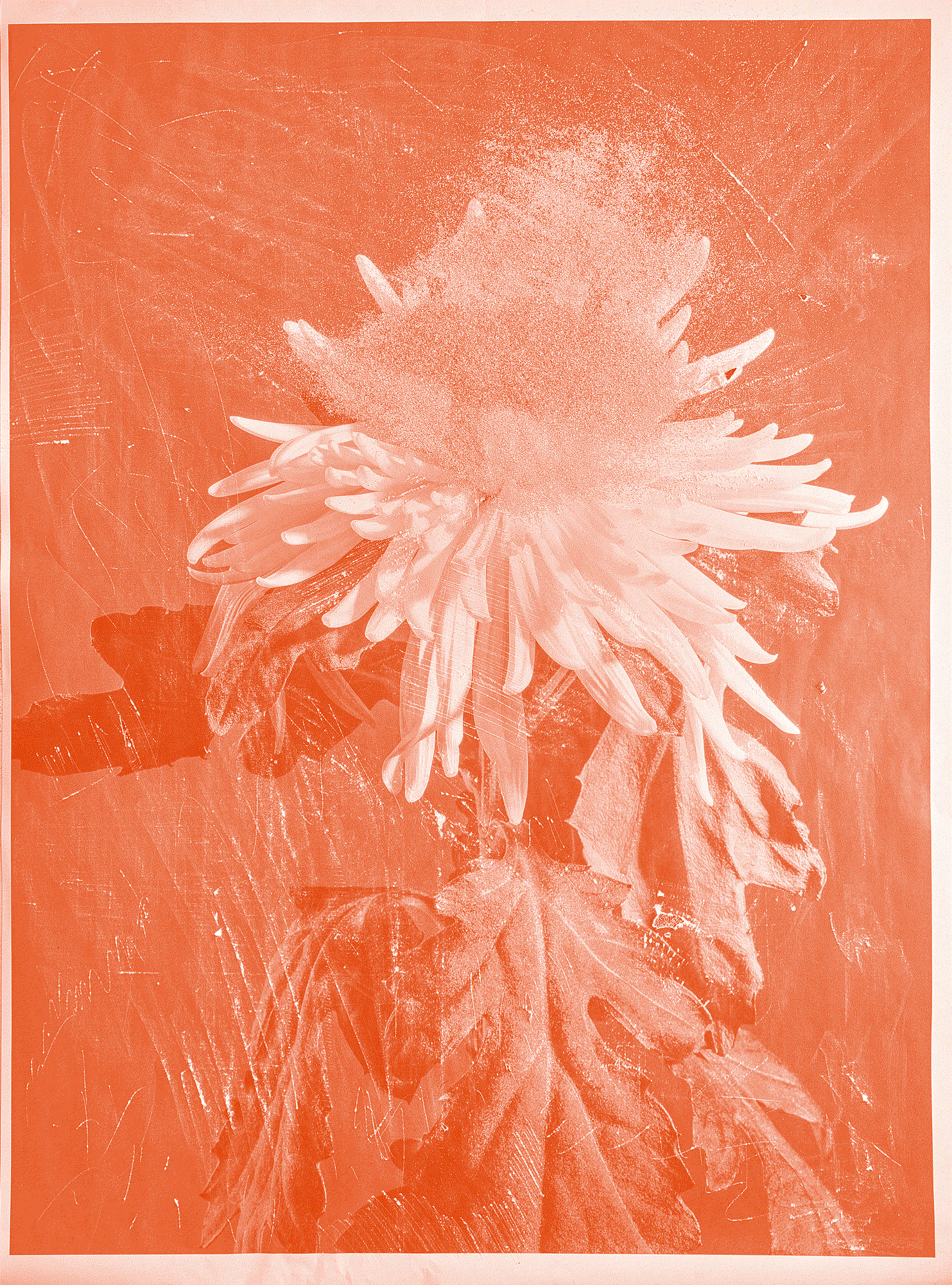 EXCITEMENT 01, 2021 Large scale photograph, archival pigment print on 100% cotton paper