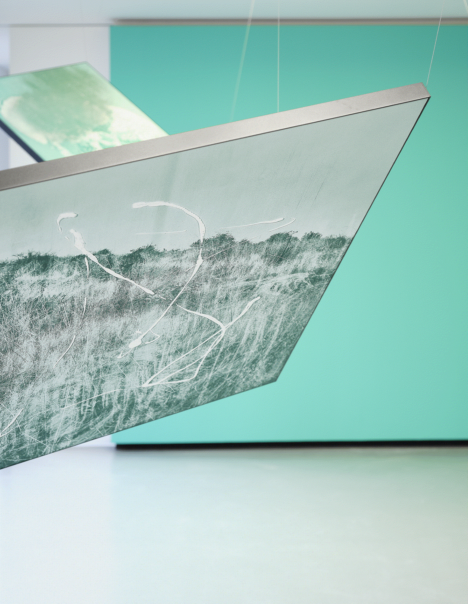 Anima, installation view