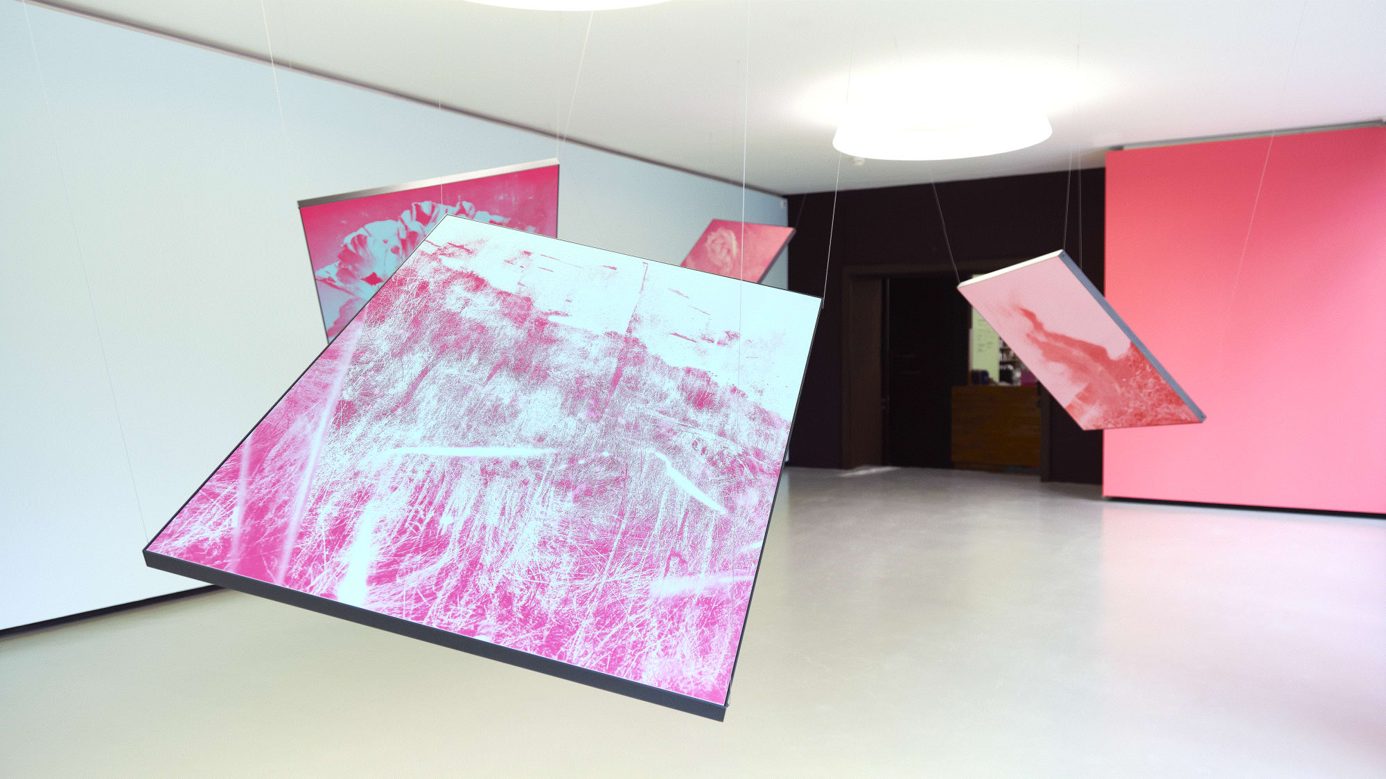 Firstname Lastname, Title, 2019 Installation view