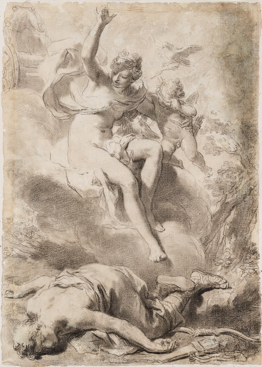 Gaetano Gandolfi (1734 - 1802) Venere e Adone Venus and Adonis / Vénus et Adonis 443 x 318 mm