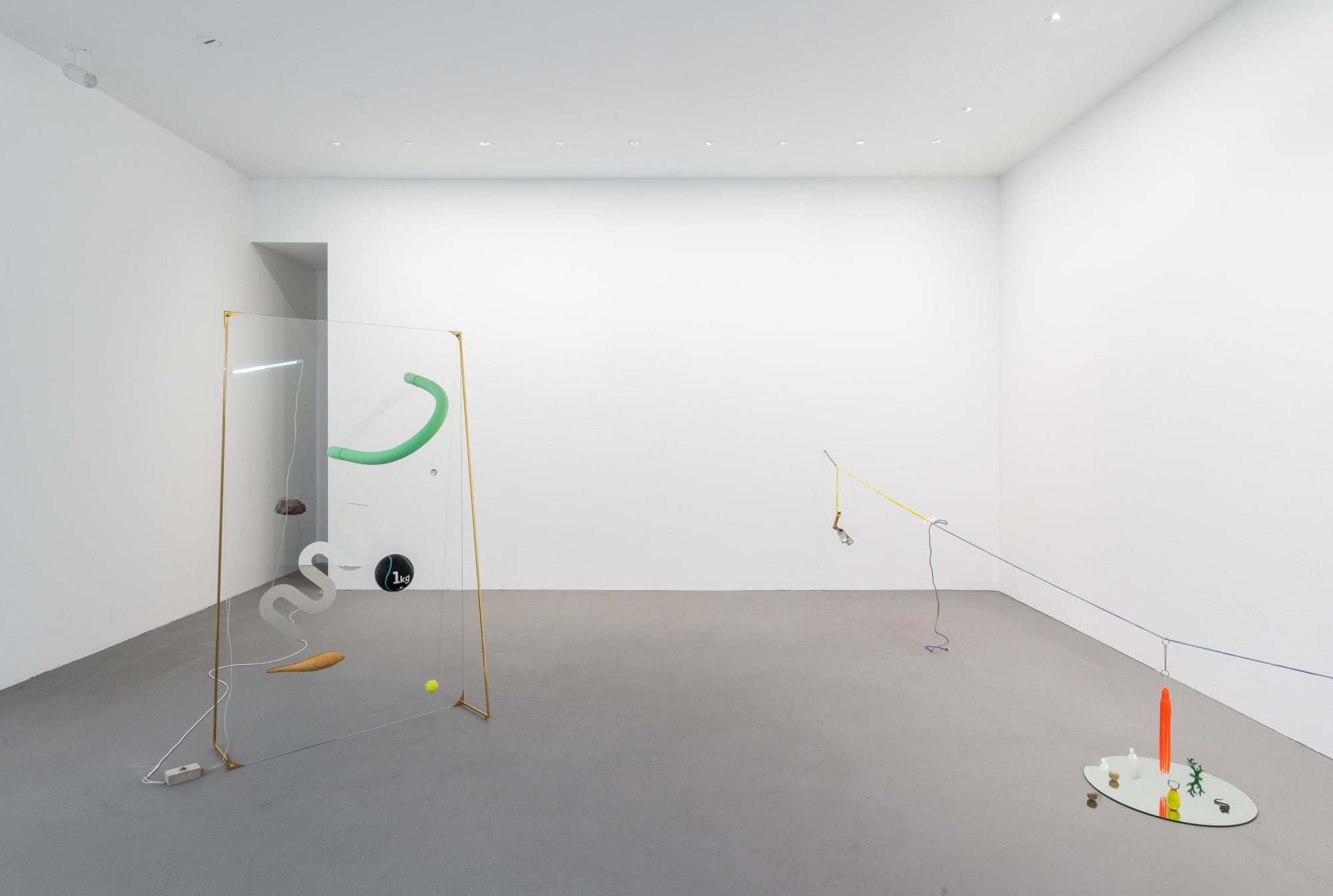 when there were more donkeys than icosahedrons | gabriel rico