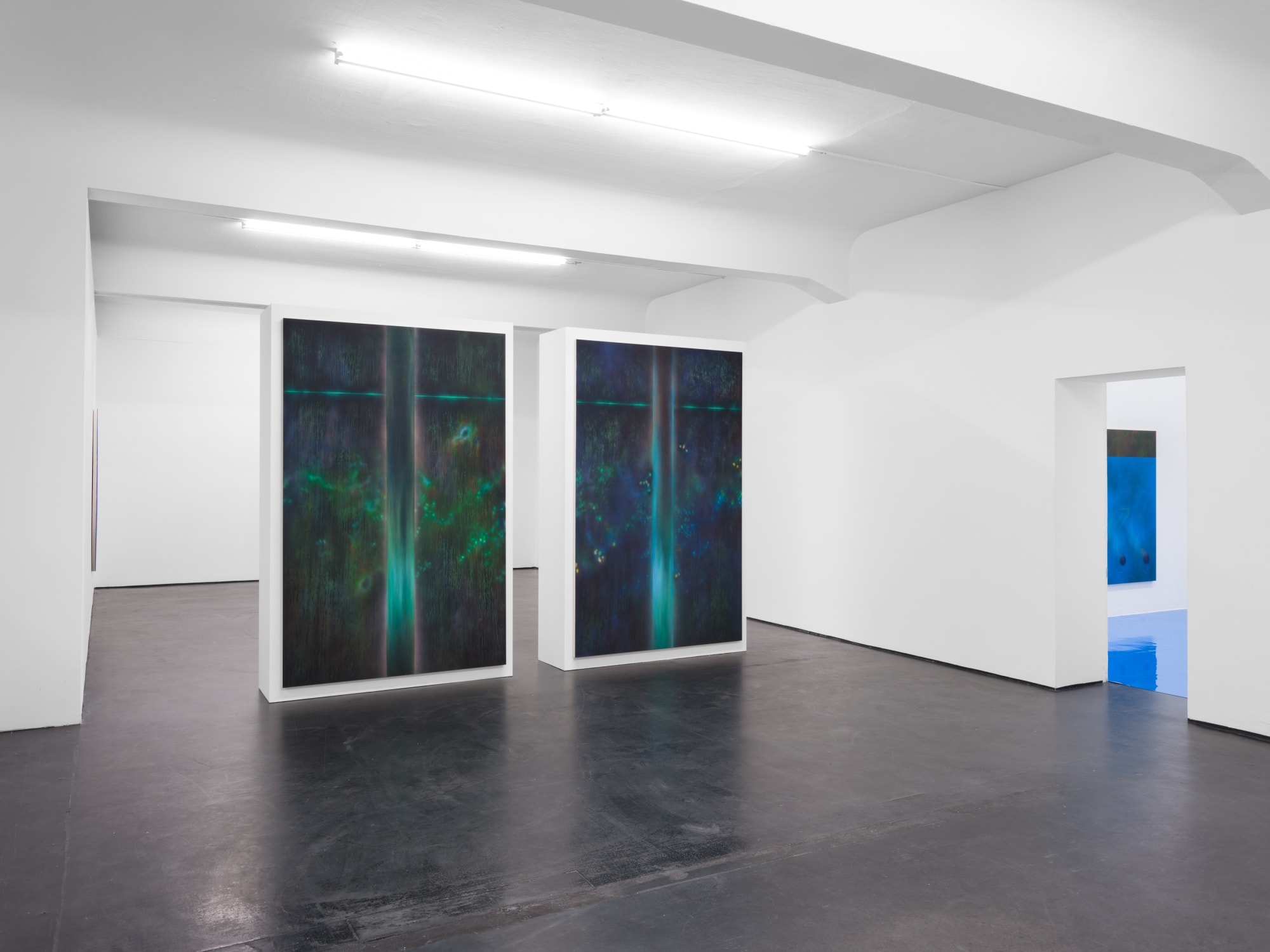 gatekeepers | natacha donzé