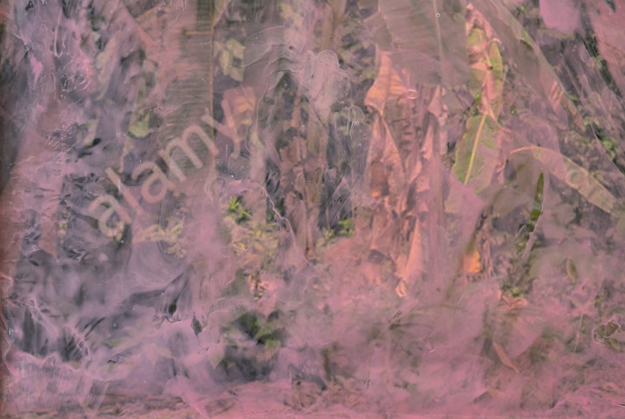 dirt | pamela rosenkranz and jenna sutela