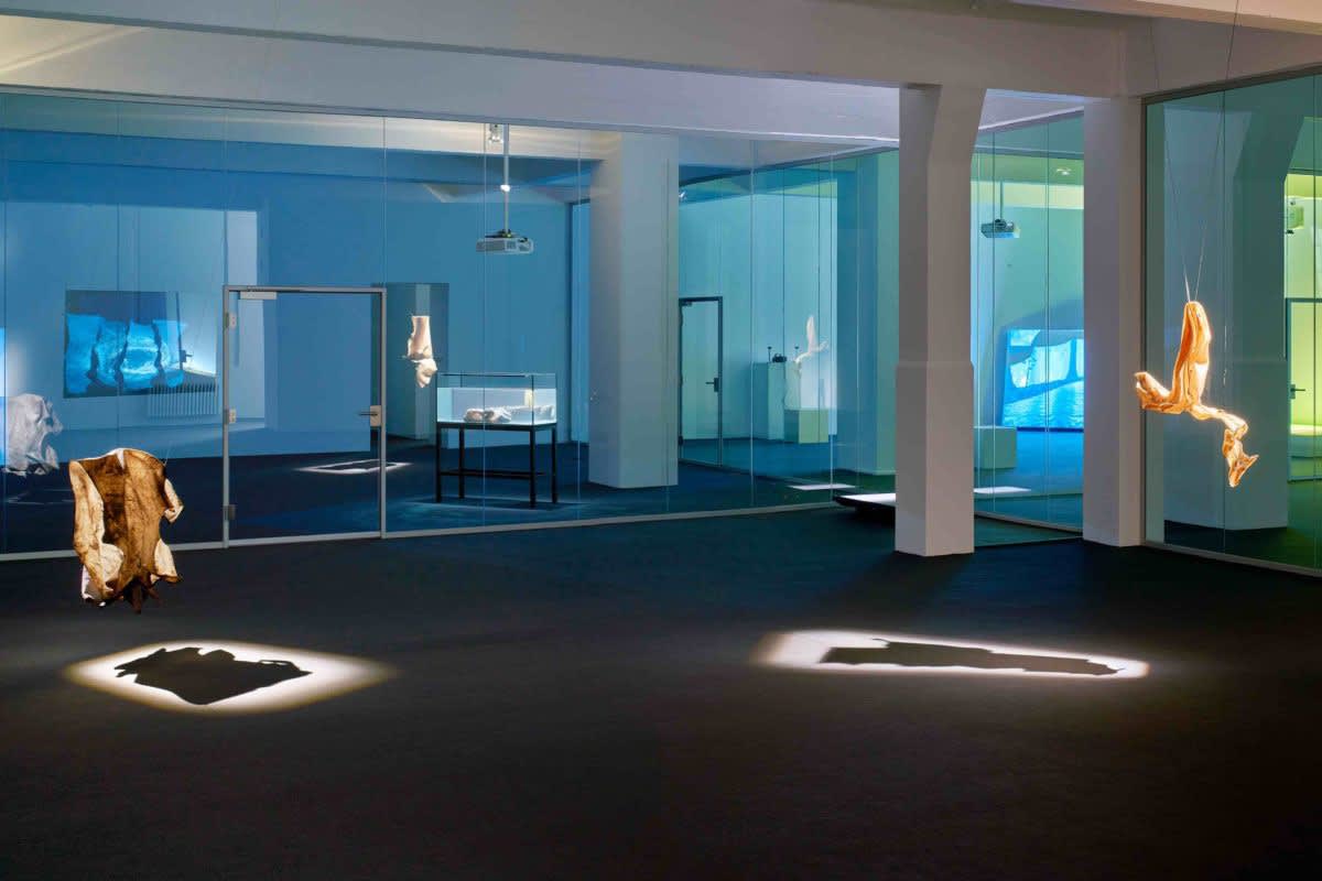 CIRCUMSCRIBE, Julia Stoschek Collection Düsseldorf (2019) | Photo: Alwin Lay