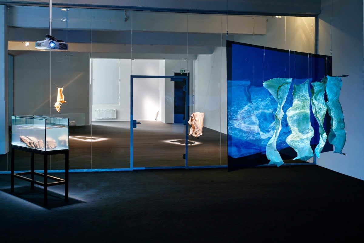 CIRCUMSCRIBE, Julia Stoschek Collection Düsseldorf (2019) | Photo: Alwin Lay