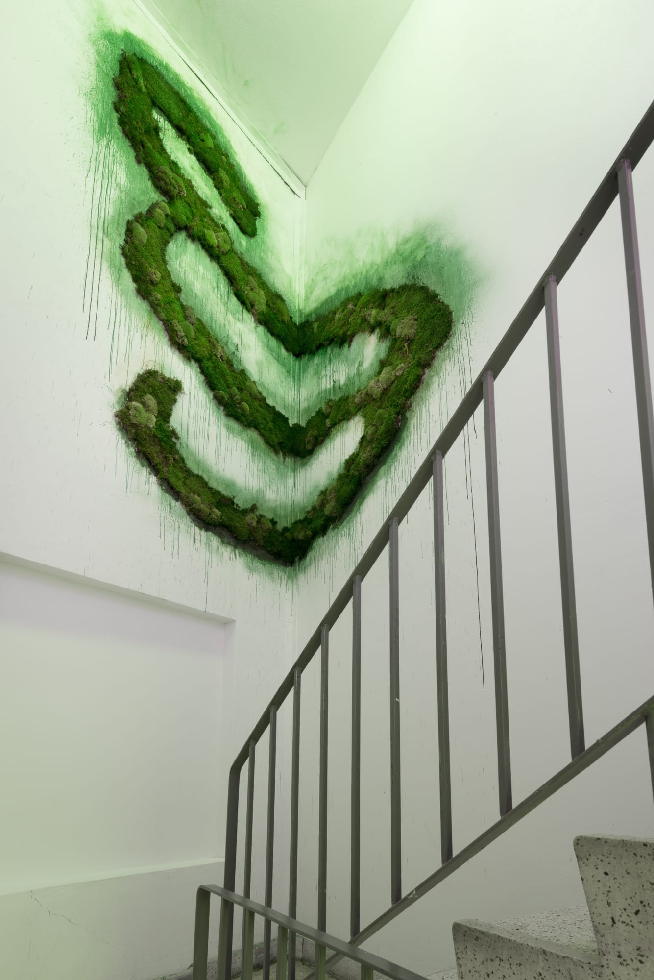 Installation view Sporulating Paragraph, MOMENTUM 9 (2017) | Photo: Istvan Irag