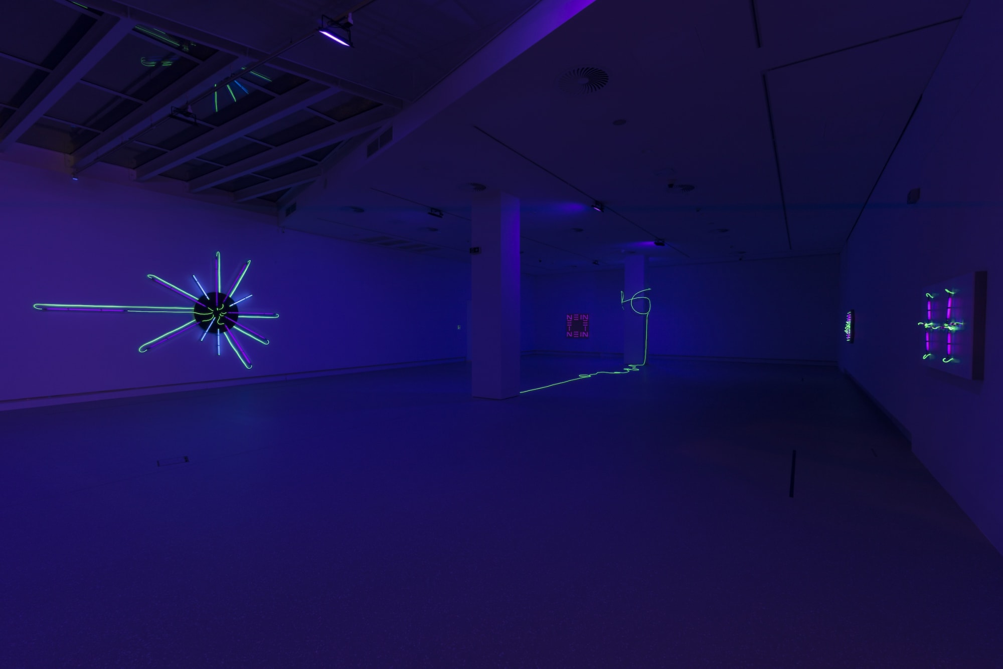 Installation view ISTR, Schlossmuseum Linz (2022) | Photo: Peter Hoiss