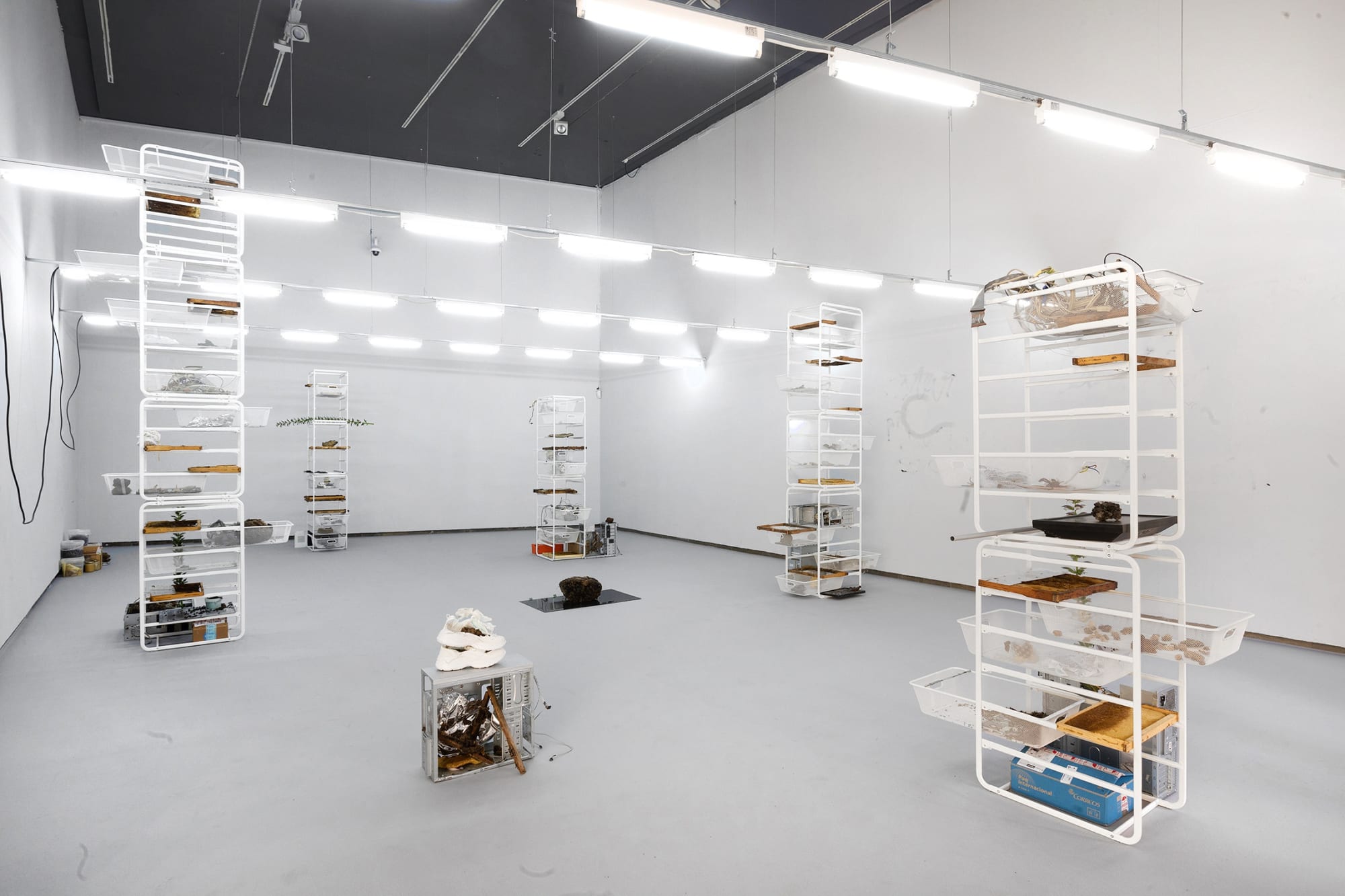 Installation view Precarious networks, Centre del Carme Cultura Contemporània Valencia (2019) | Photo: © Iván Navarro © Juan Peiró © Nicolás Lamas