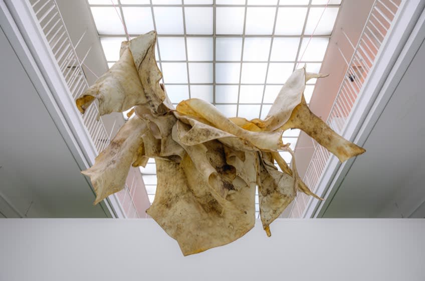 Installation view Contamination, Kunstverein Freiburg, Freiburg (2021) | Photo: Marc Doradzillo