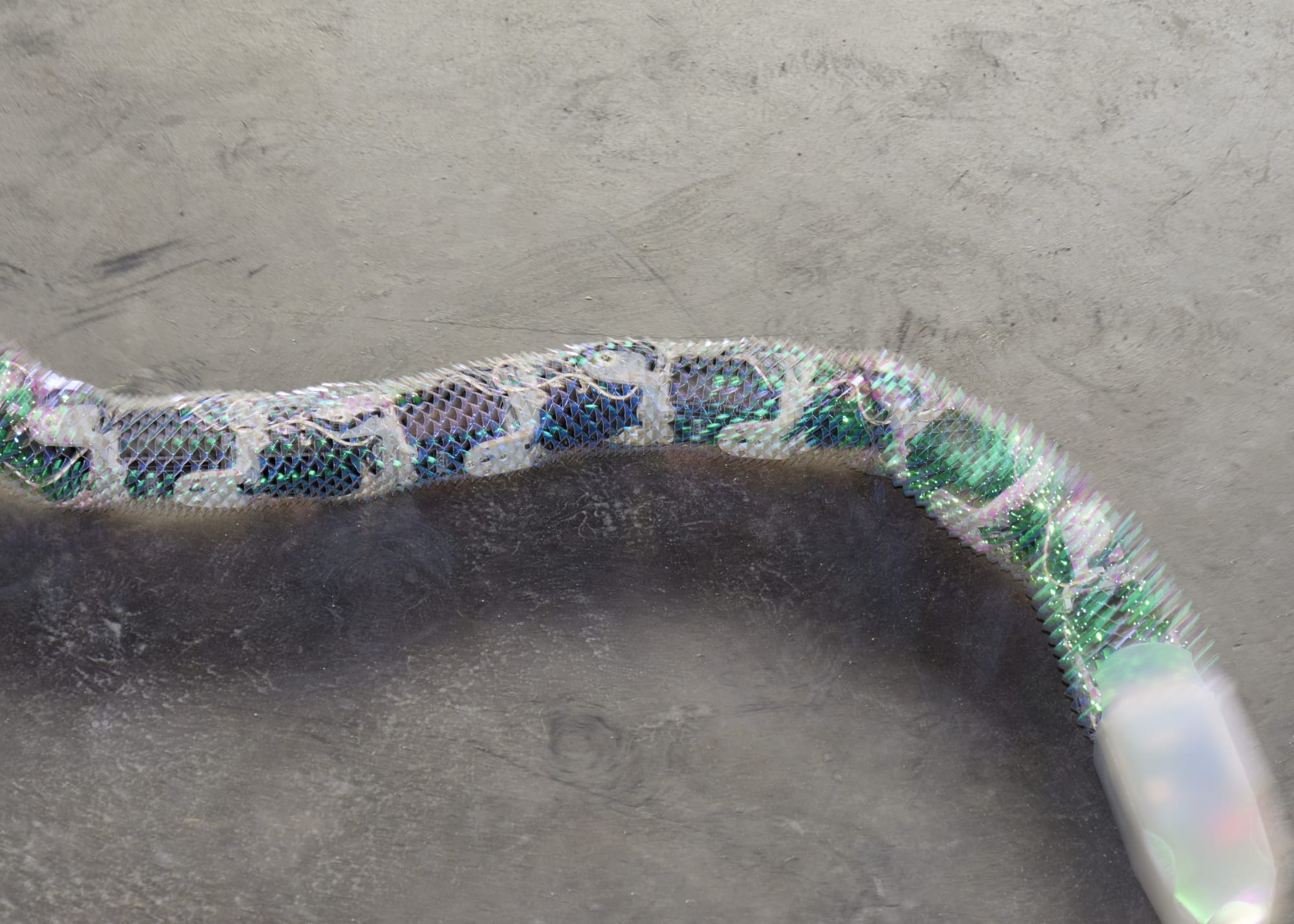 Installation view House of Meme, Kunsthaus Bregenz (2021) | Photo: Markus Tretter