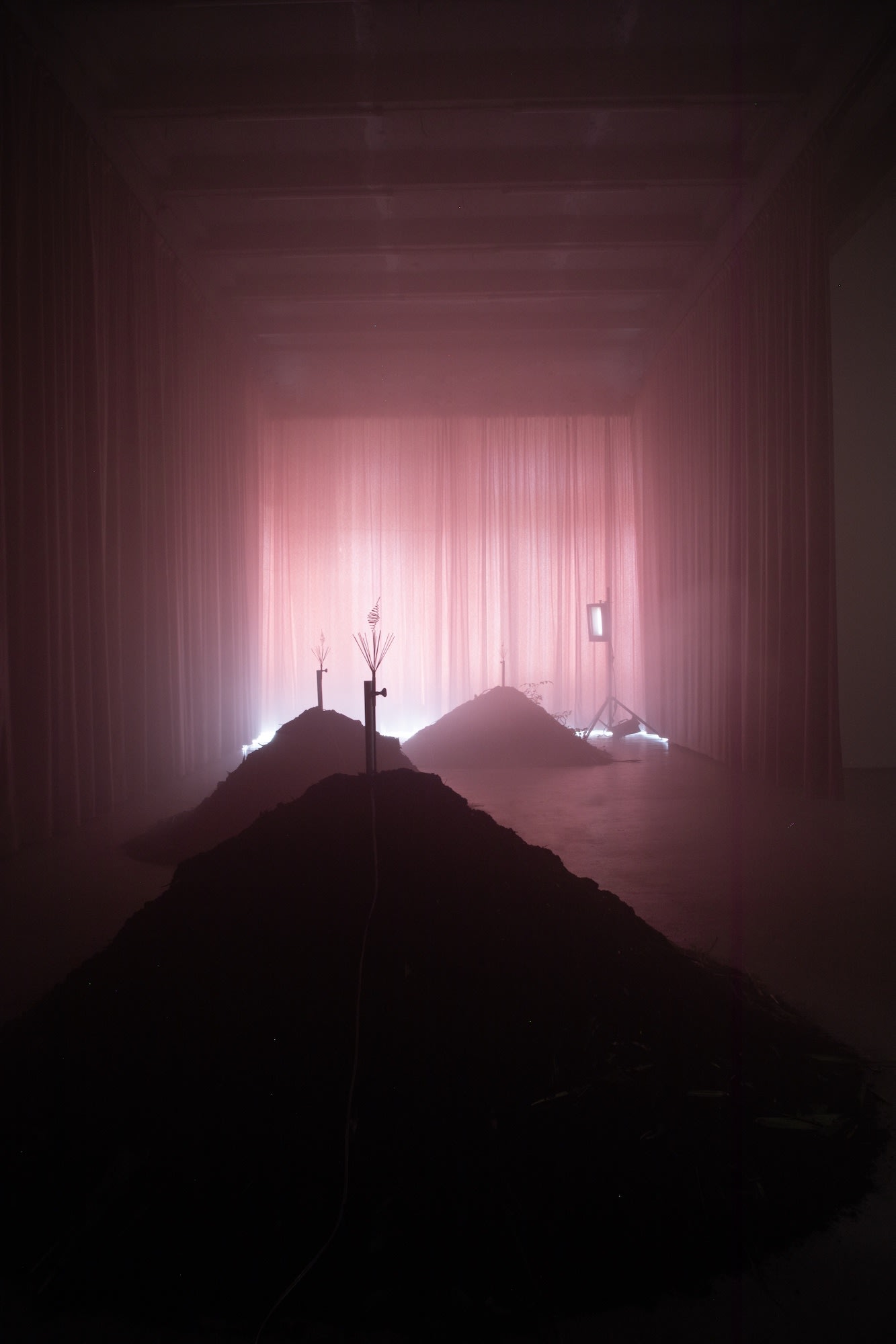 Installation view Vermi Cell, Fragile, Berlin (2023) | Photo: Jonas Wendelin