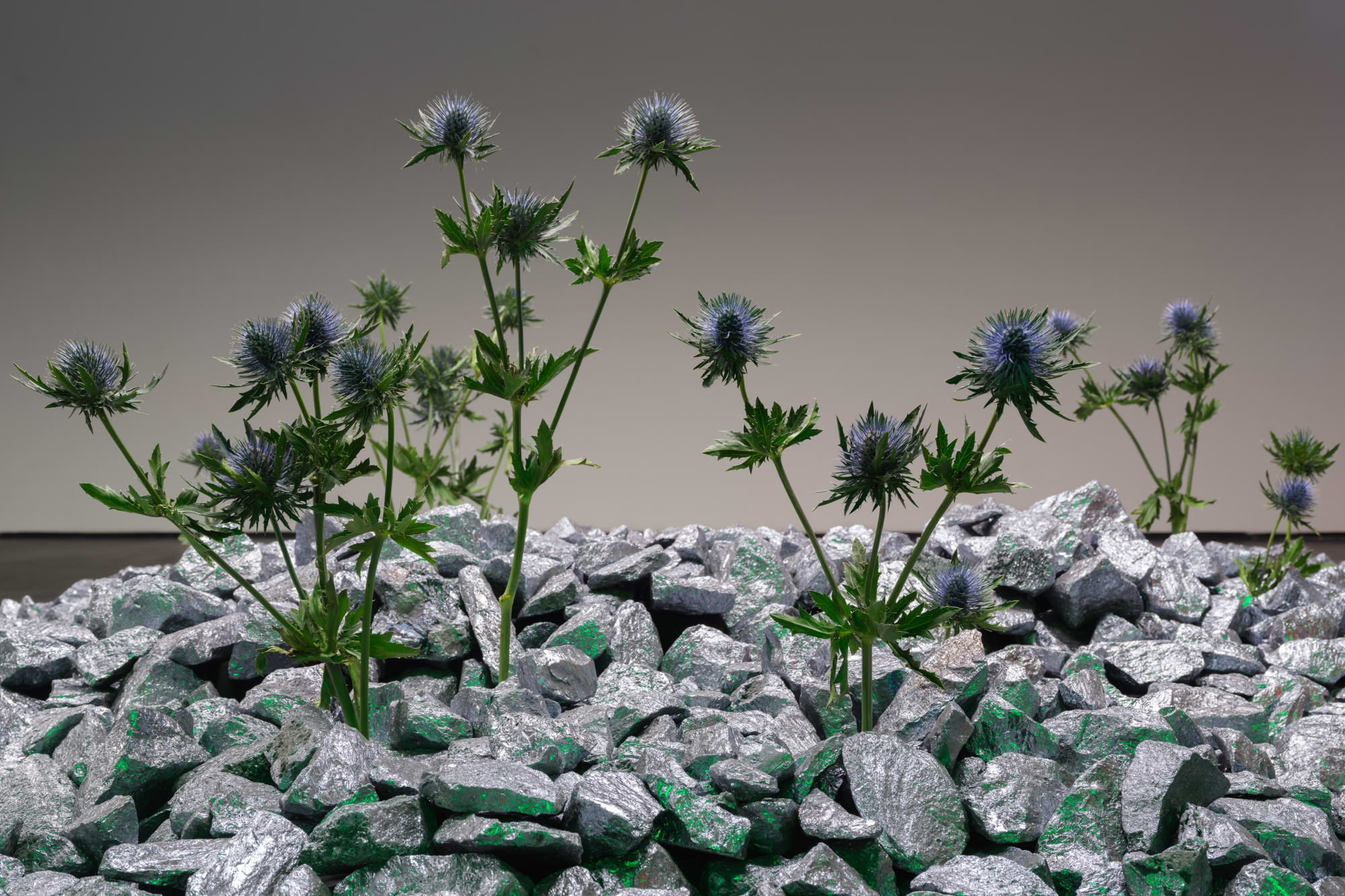 Installation view anima atman, max goelitz, Berlin (2024)