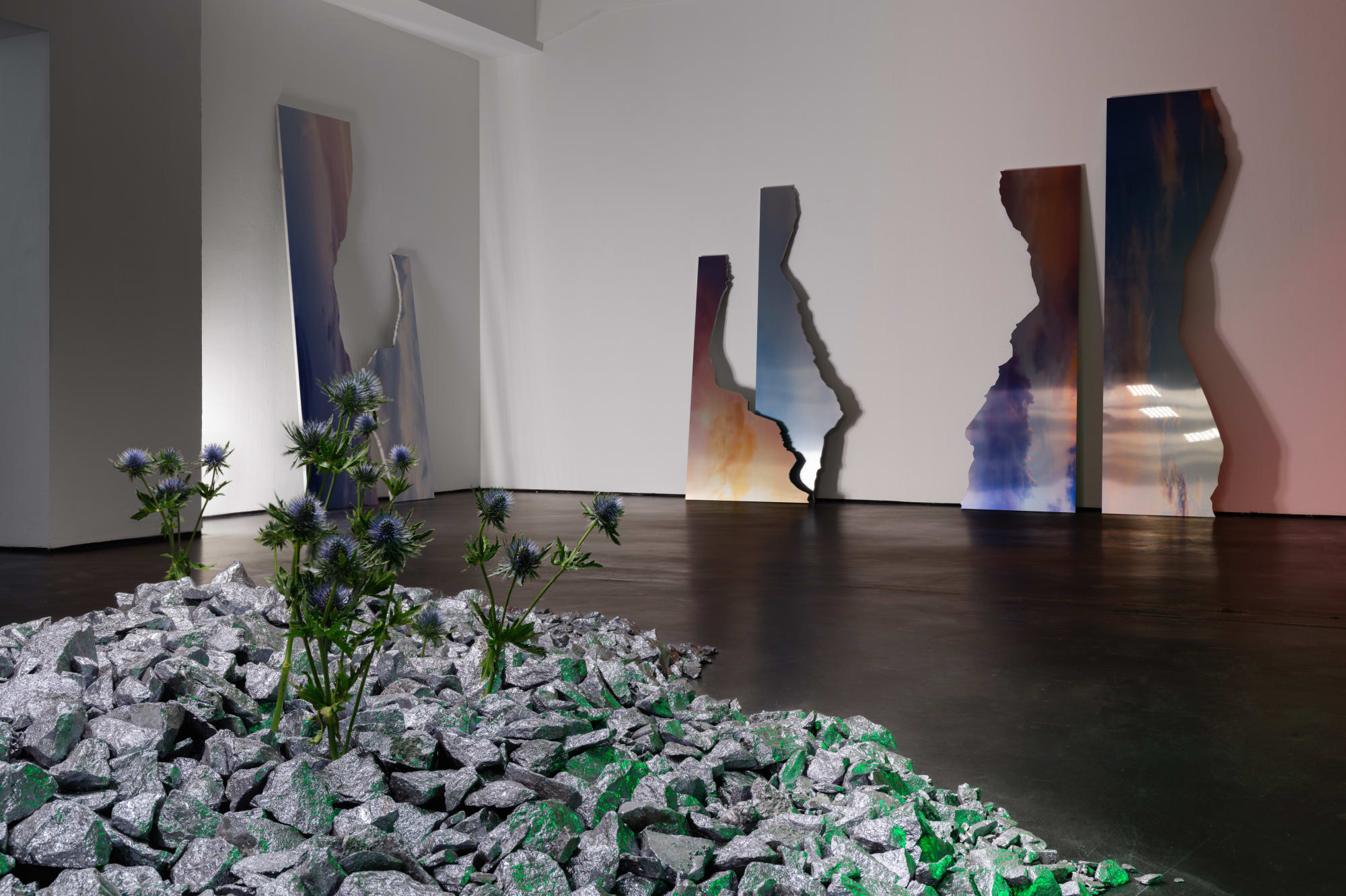 Installation view anima atman, max goelitz, Berlin (2024)