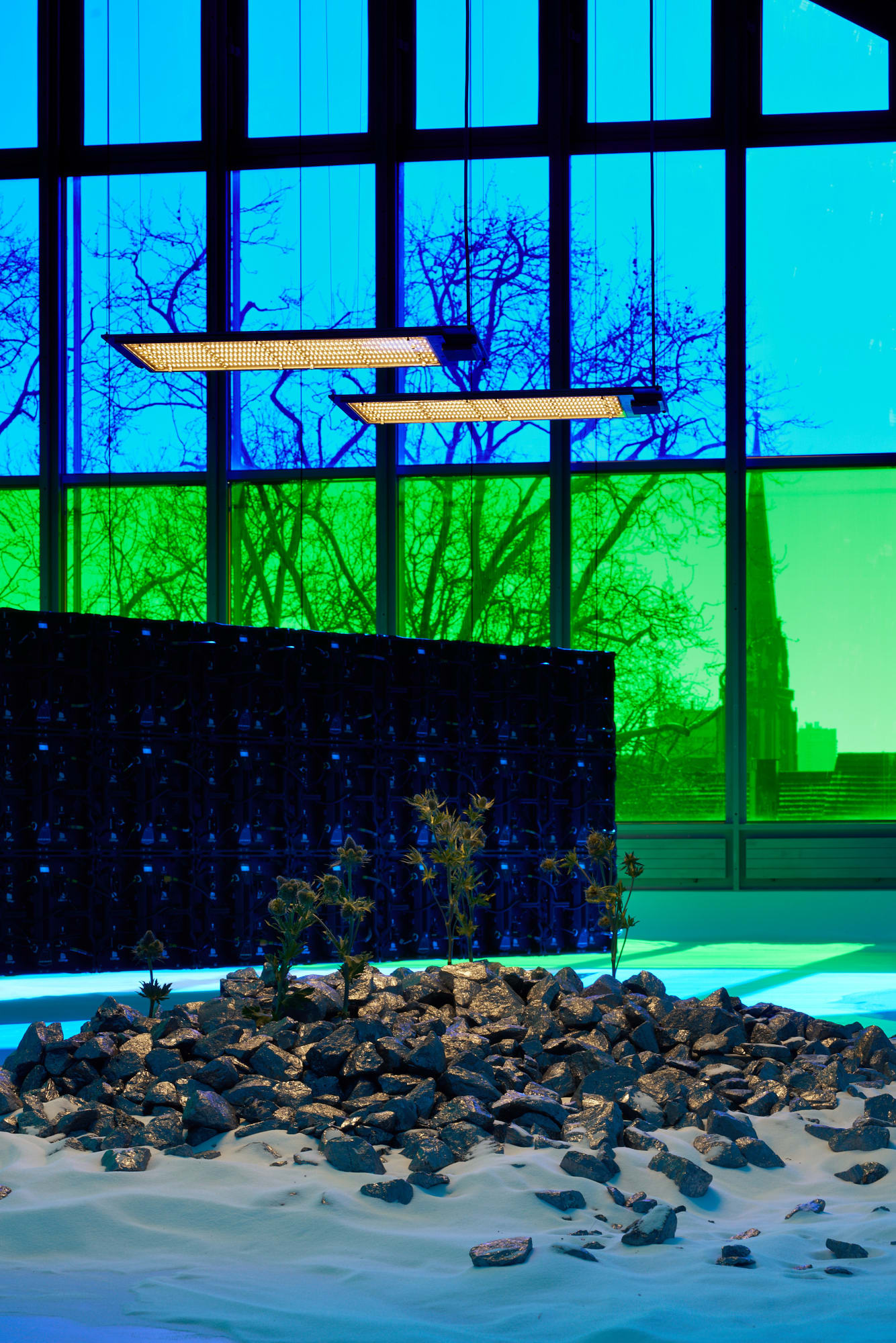 Installation view Buenavista, Schirn Kunsthalle Frankfurt (2025) | Photo: Roy Bon