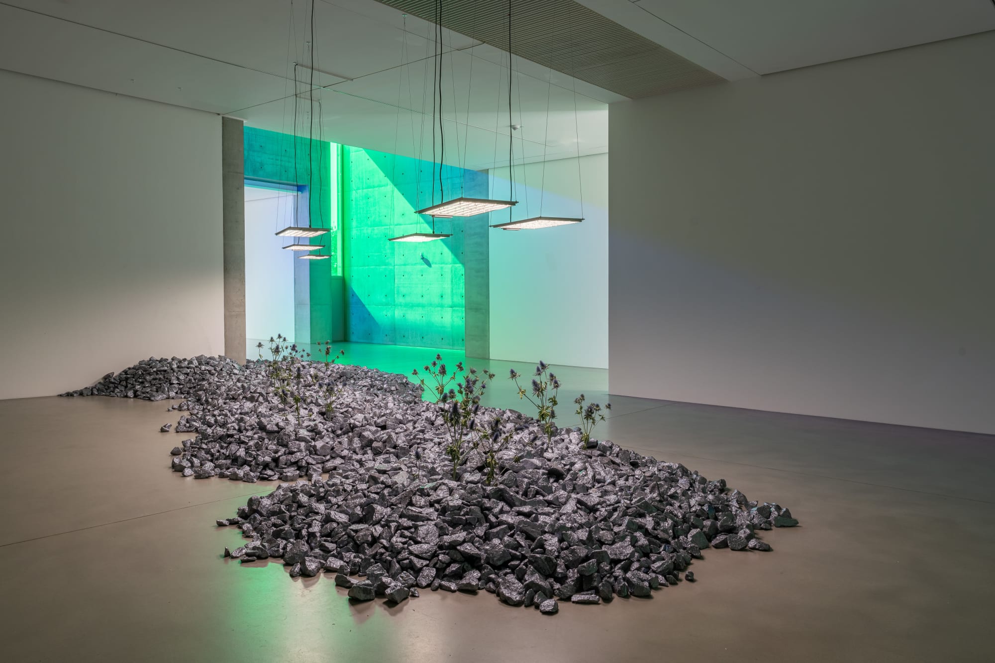 Installation view Pink Noise, Langen Foundation Neuss (2024)