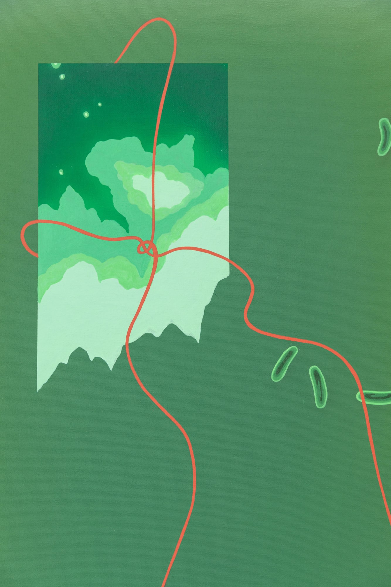 Soothing solutions, 2019 | Detail