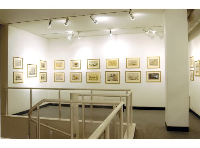 DESMOND MORRIS Installation View