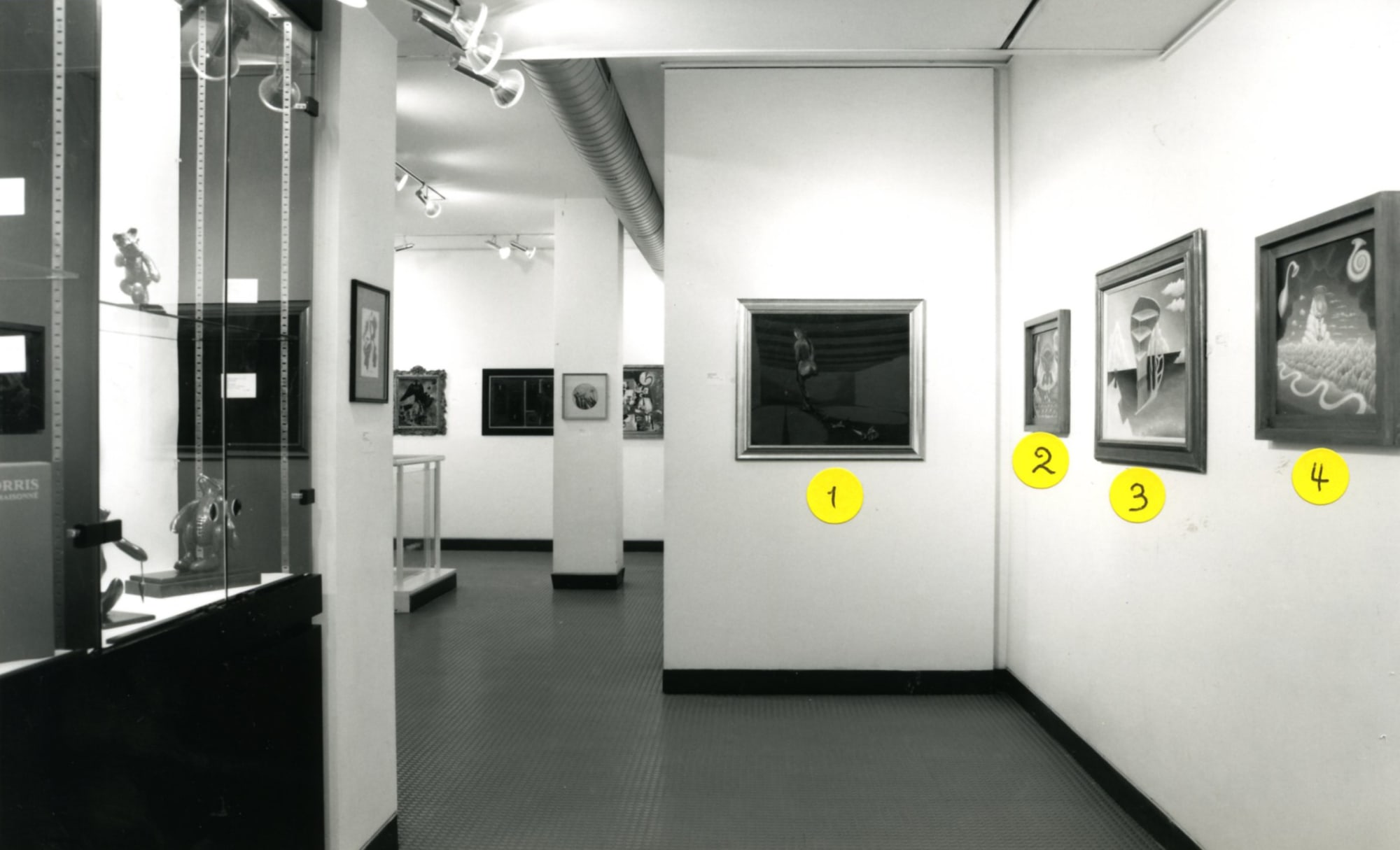 DESMOND MORRIS Installation View