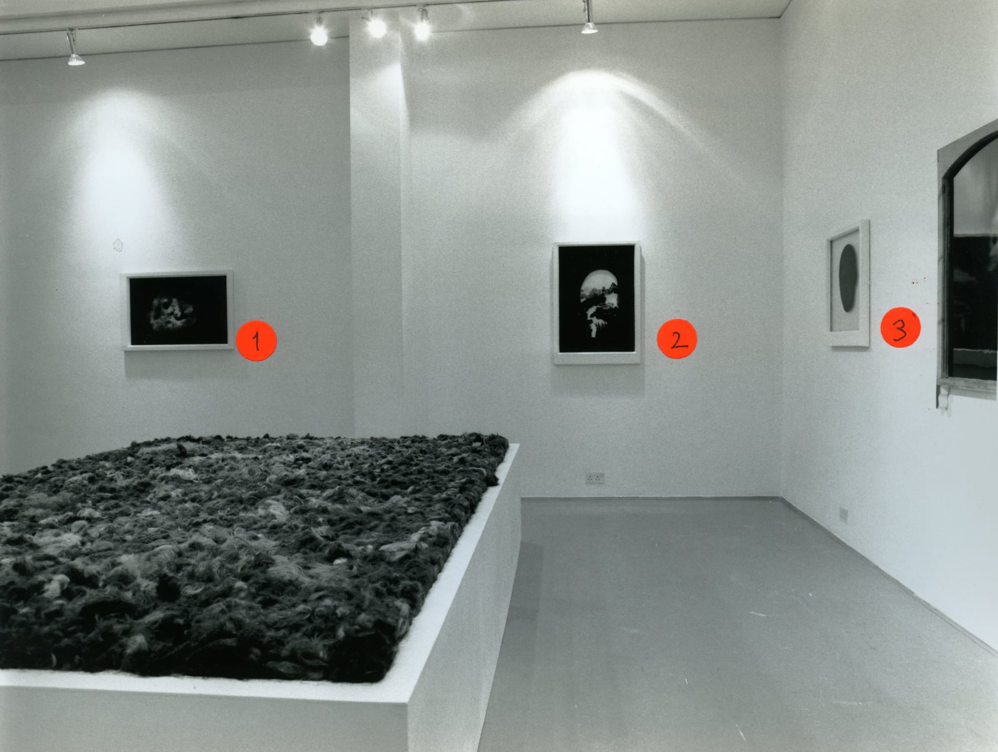 BEN KADISHMAN Installation View