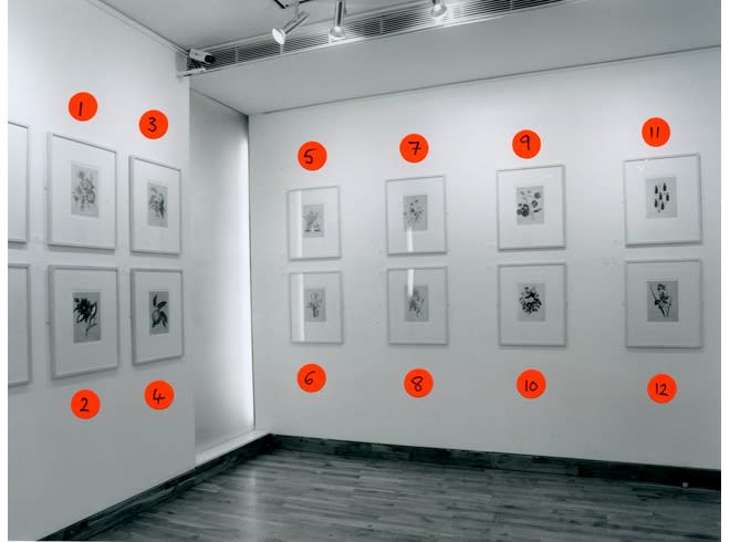 THIERRY RENARD Installation View