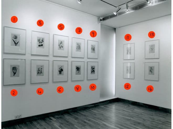 THIERRY RENARD Installation View