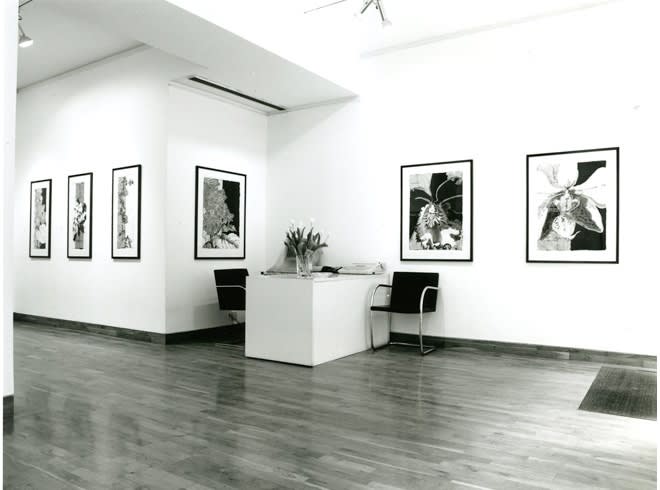 ROBERT KUSHNER Installation View